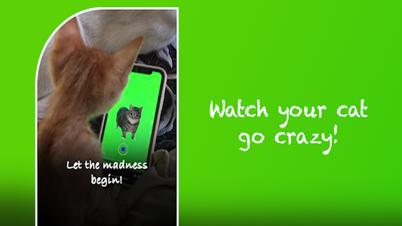 Spinning Cat - App on Amazon Appstore