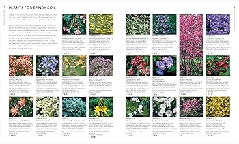 ENCYCLOPEDIA of GARDENING（ガーデニングの百科事典） ENCYCLOPEDIA OF GARDEN PLANTS