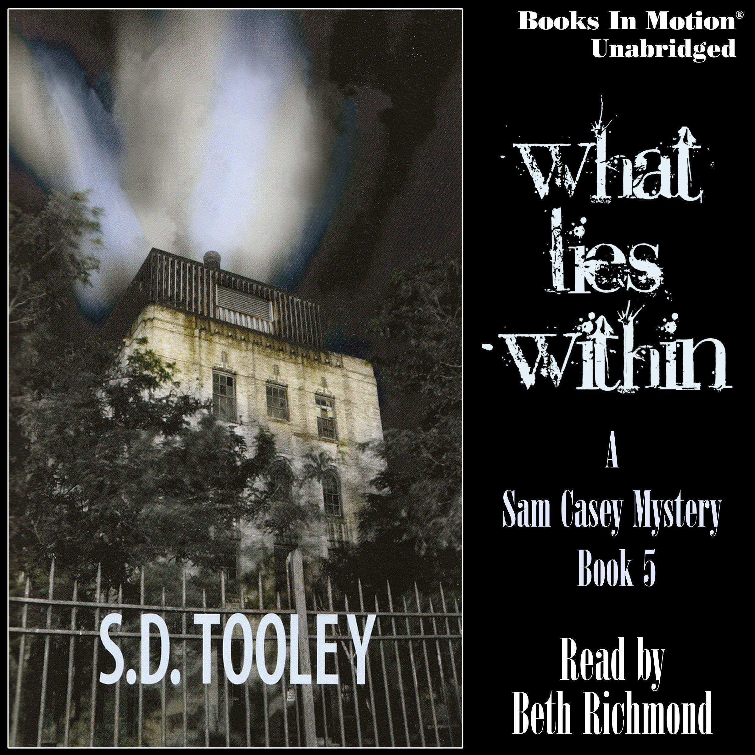 Cover art for What Lies Within