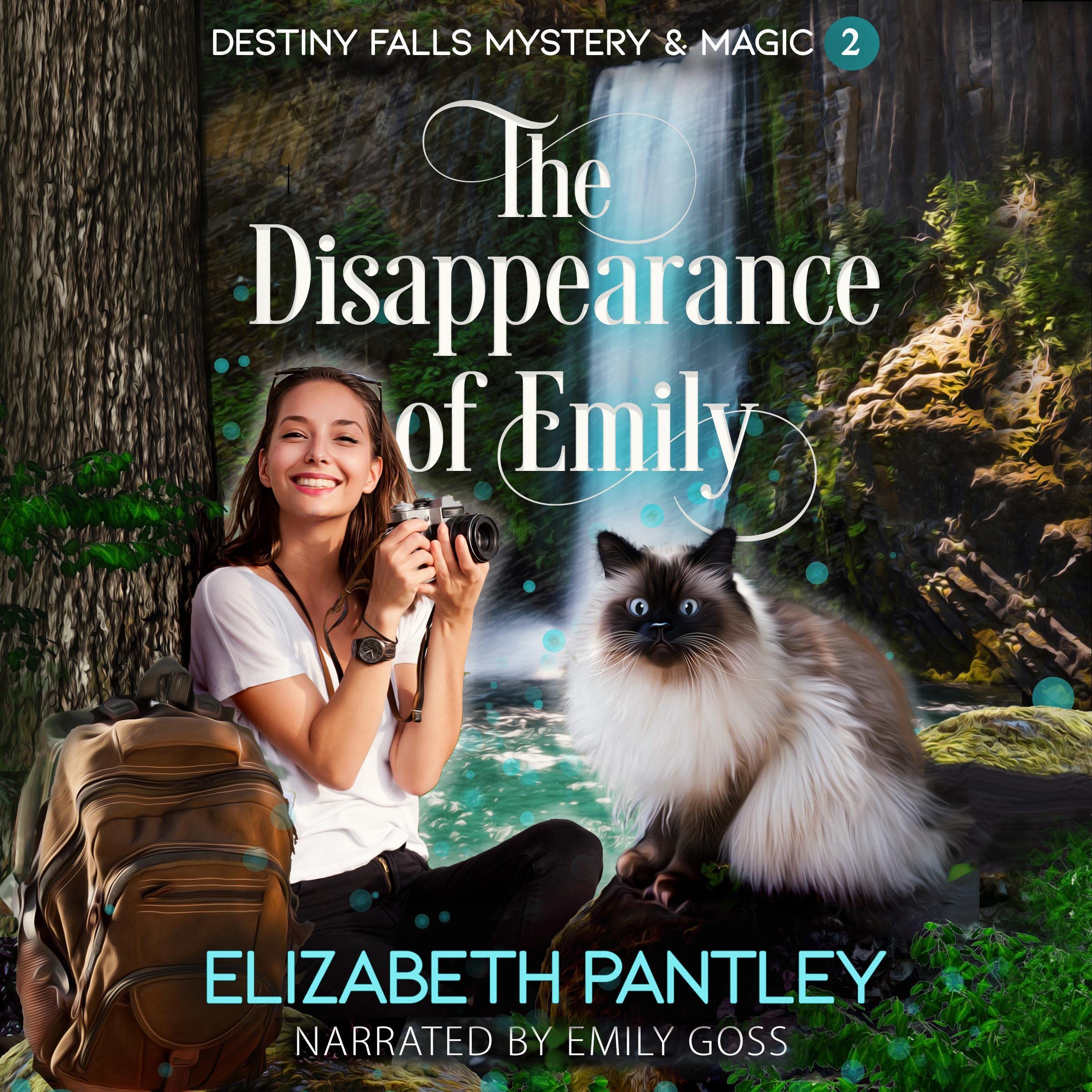 The Disappearance of Emily