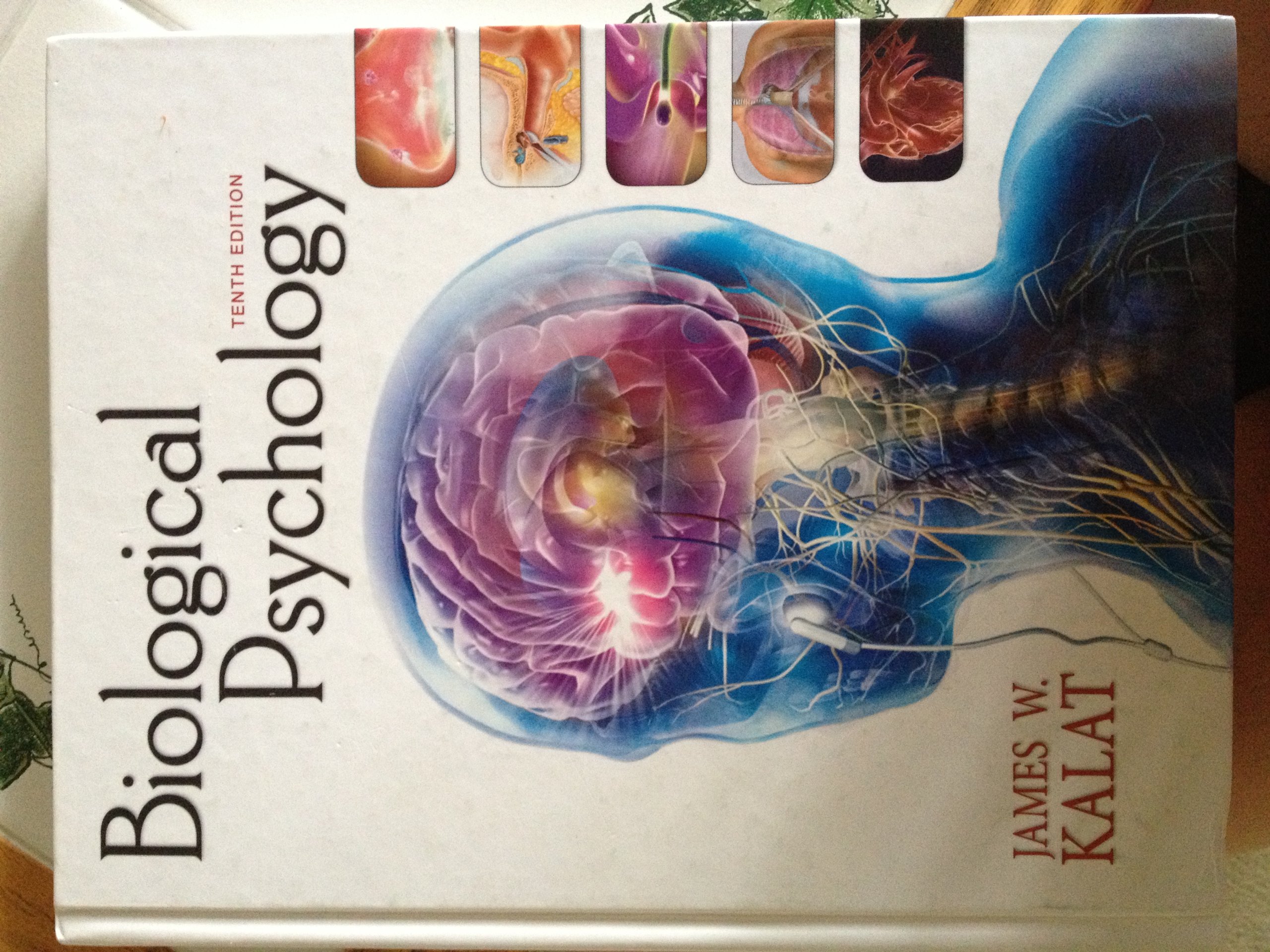 Biological Psychology: Amazon.co.uk: Kalat, James W