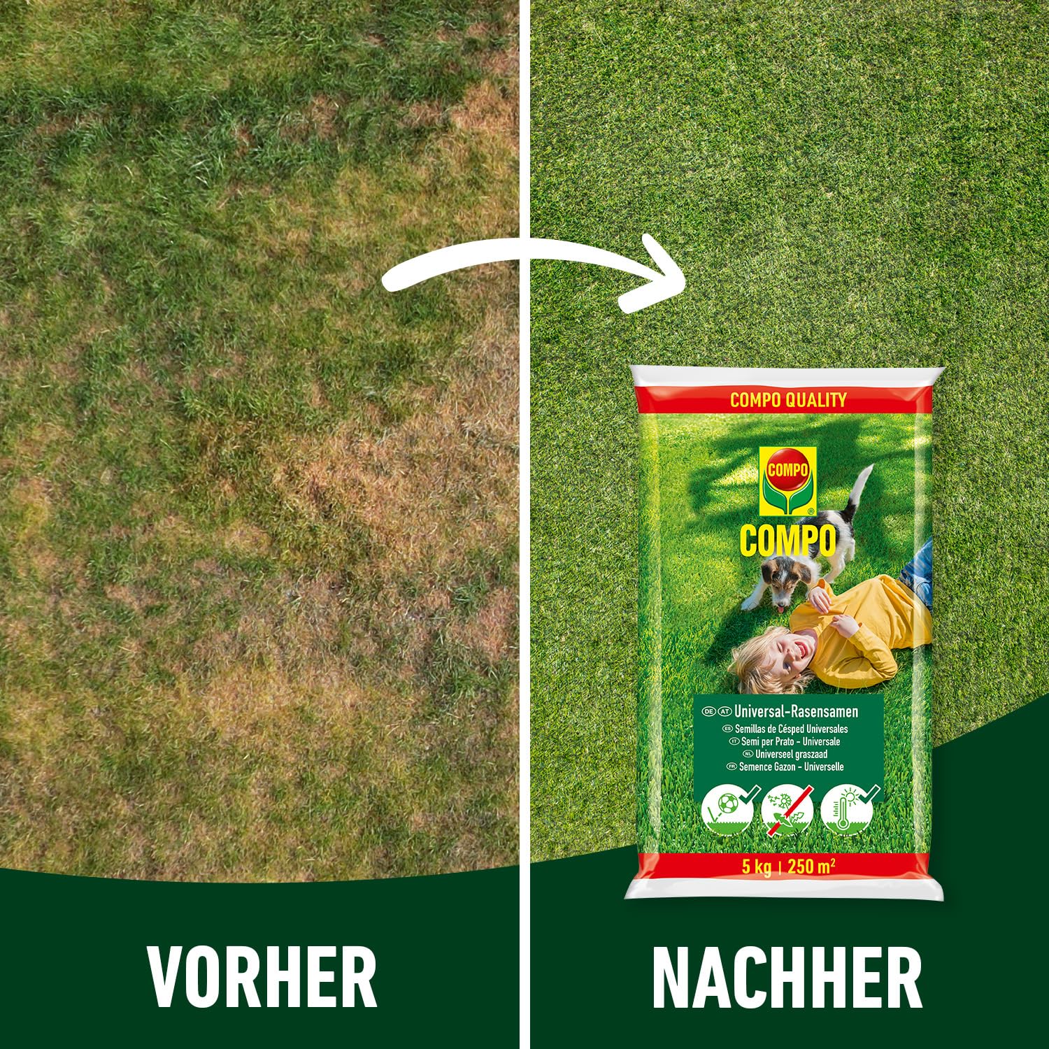 COMPO schnell keimende Universal Rasensamen 5kg für 250 m², für Spiel- und Sportrasen, ideal bei Hitze und Trockenheit, grün