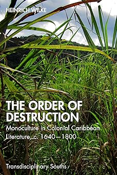 The Order of Destruction (Transdisciplinary Souths)-Wow! eBook