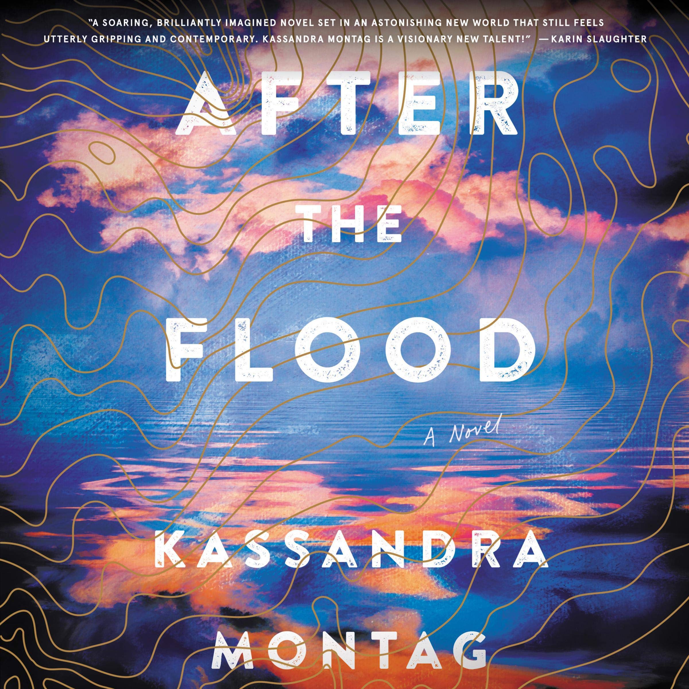 Cover art for After the Flood