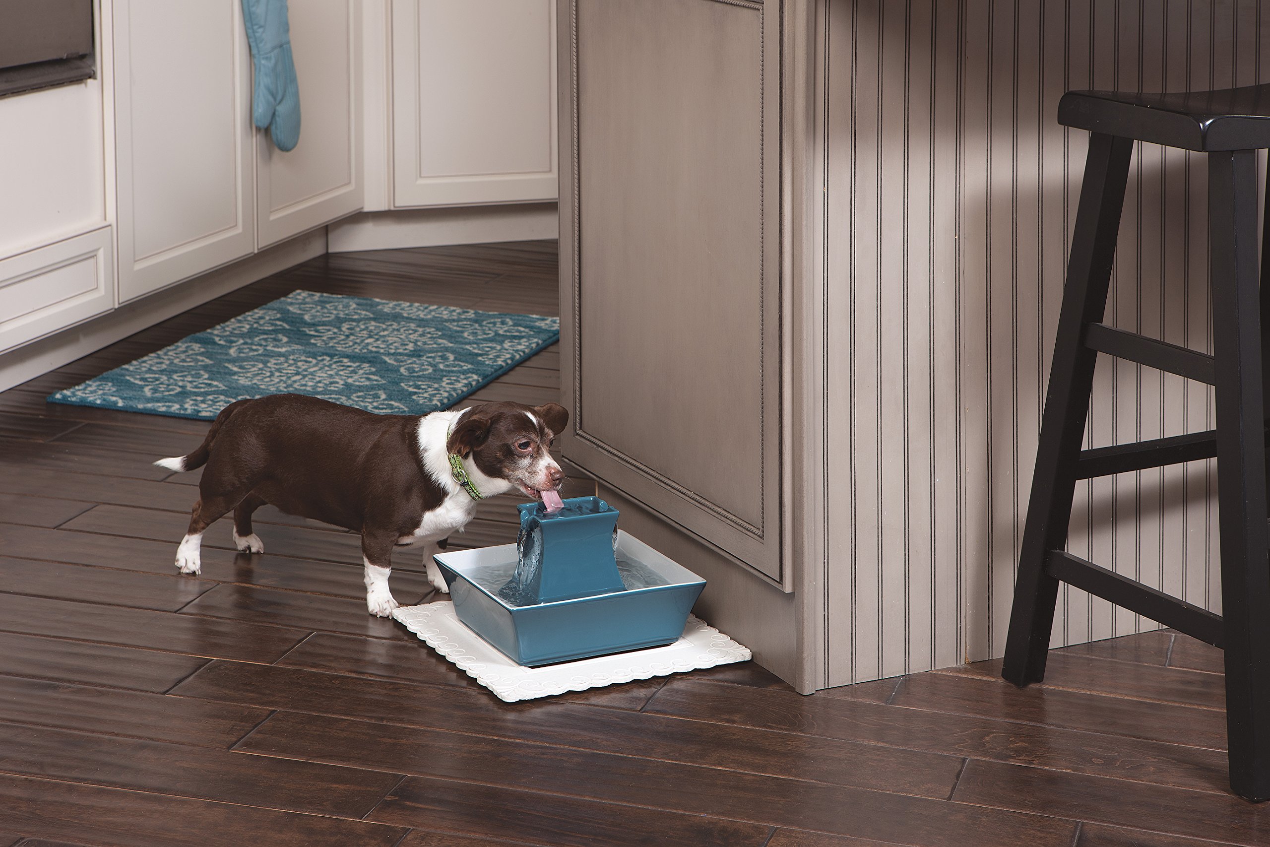 PetSafe Drinkwell Pagoda - Fontana per Bere per Cani e Gatti in Ceramica, Design Minimalista per Uso Domestico e Capacità di 2 Litri - Blu