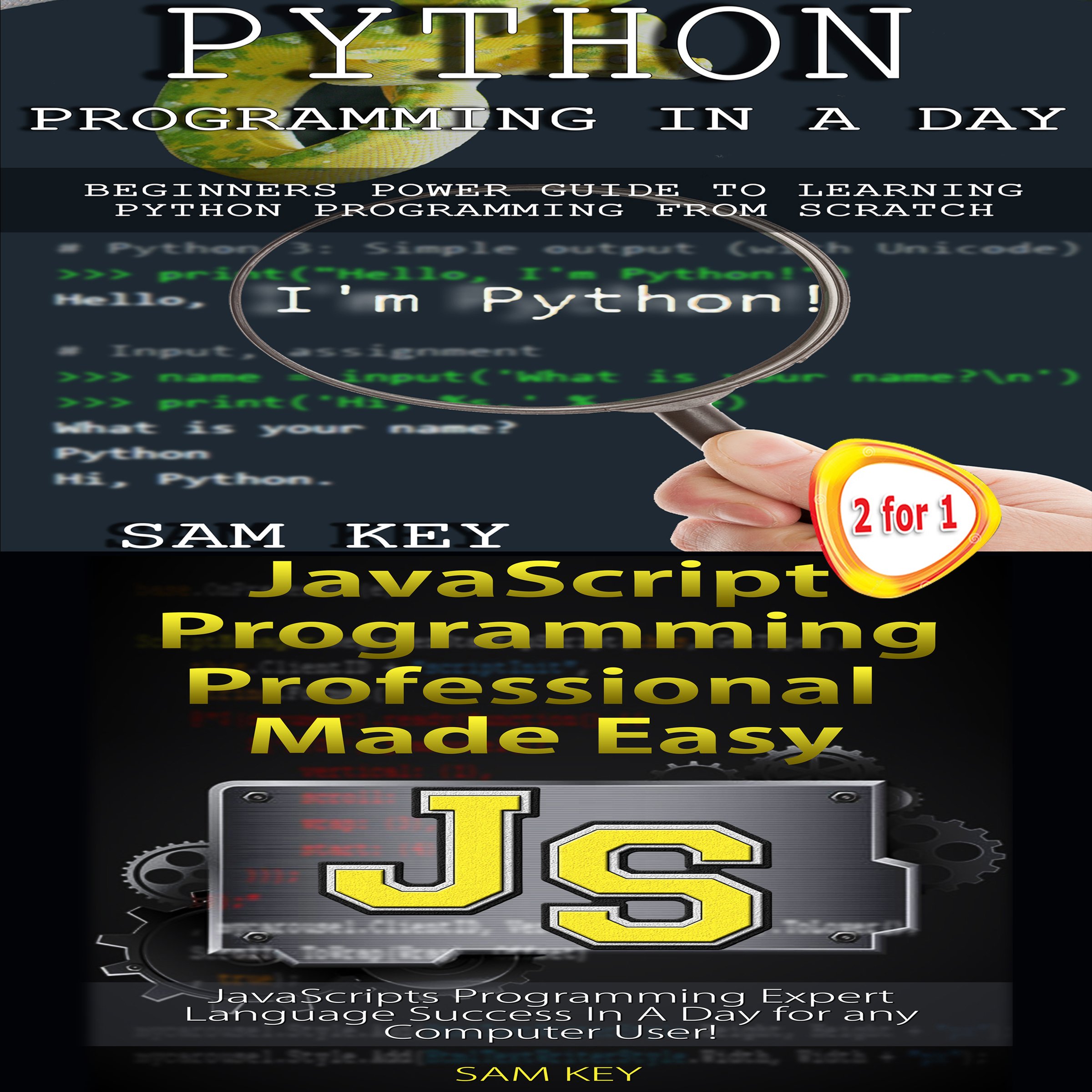 Python Programming in a Day & JavaScript Professional Programming Made Easy