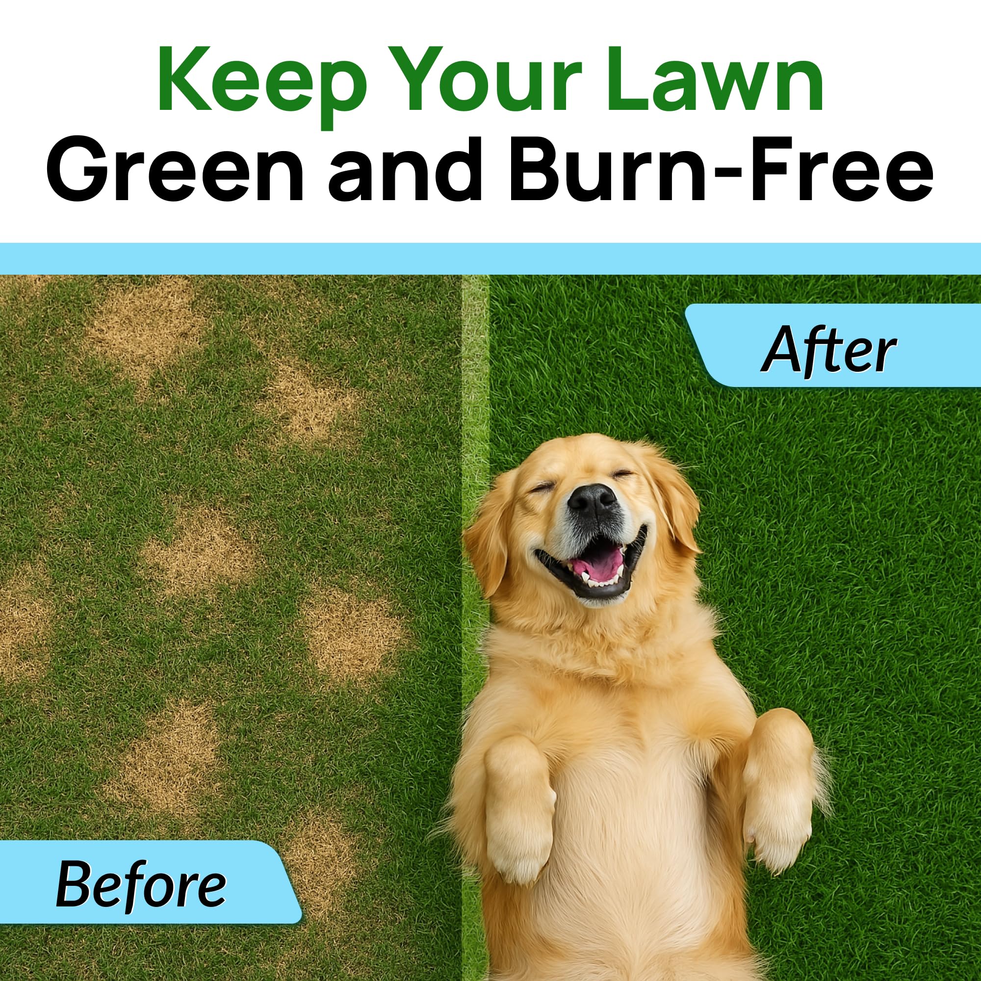 PAWFECTCHEW Green Grass Dog Chews w/Probiotics - Prevent Urine Burning Grass - Dog Pee Grass Spot Saver - Dog Urine Neutralizer for Lawn Treats, UT & Gut Health for Dogs, Lawn Burn from Dog Urine