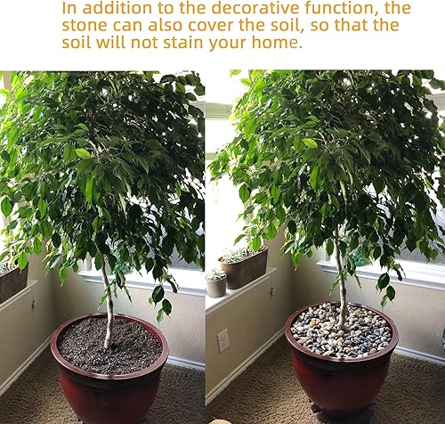 Miniatura 3 de 3LB Natural Decorative River Stone 1"-2" Size Mixed Pebbles Decorative Rock Gravel for Plants Bonsai, Gardens, Vase Fillers, Sidewalks, Aquarium