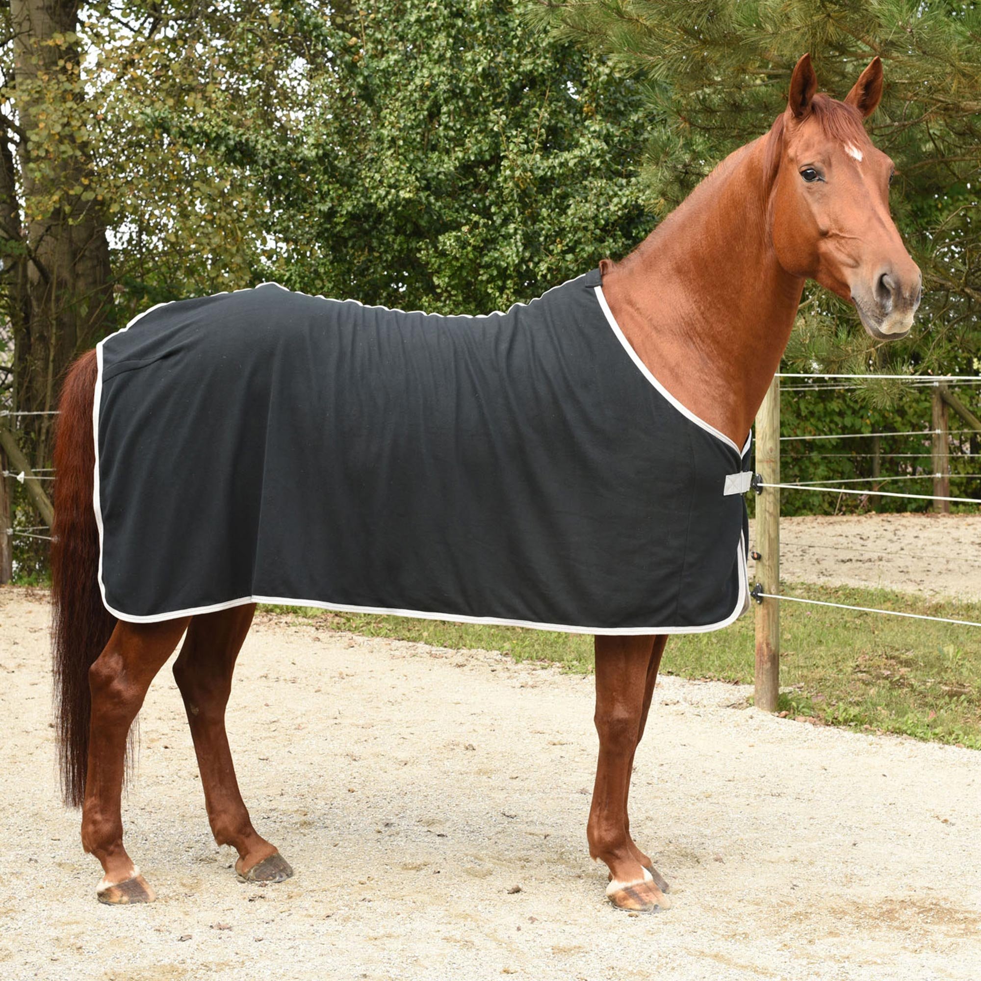 Covalliero Kerbl 328678 - Coperta in Pile Economic, Nero, 135