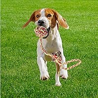 Vista 7 de otterly mascotas Cachorro Perro Mascota Cuerda Juguetes para pequeñas y medianas perros (Conjunto de 4)