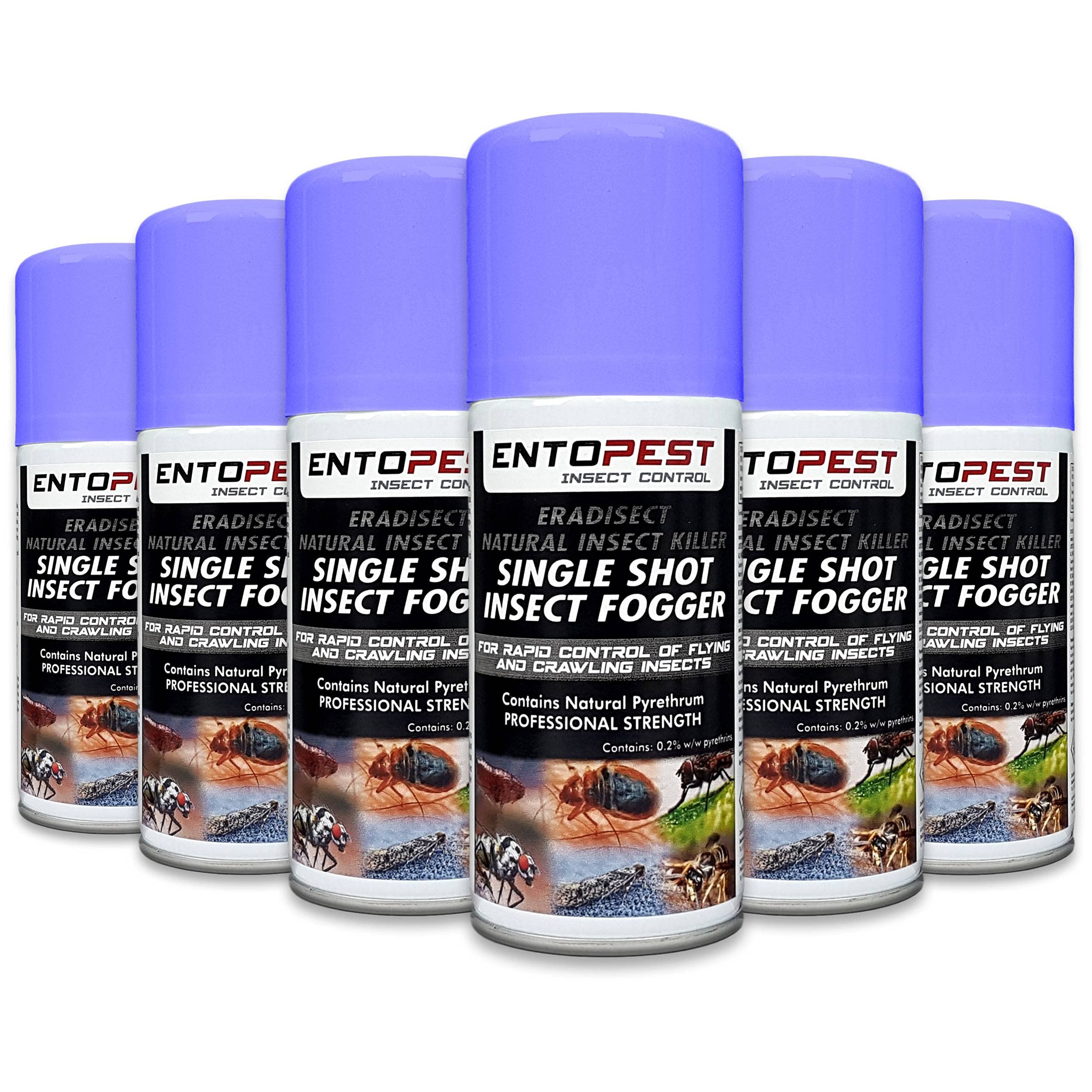 Buy Entopest Bed Bug, Flea & Mite Control Fogger, Total Release Bedroom