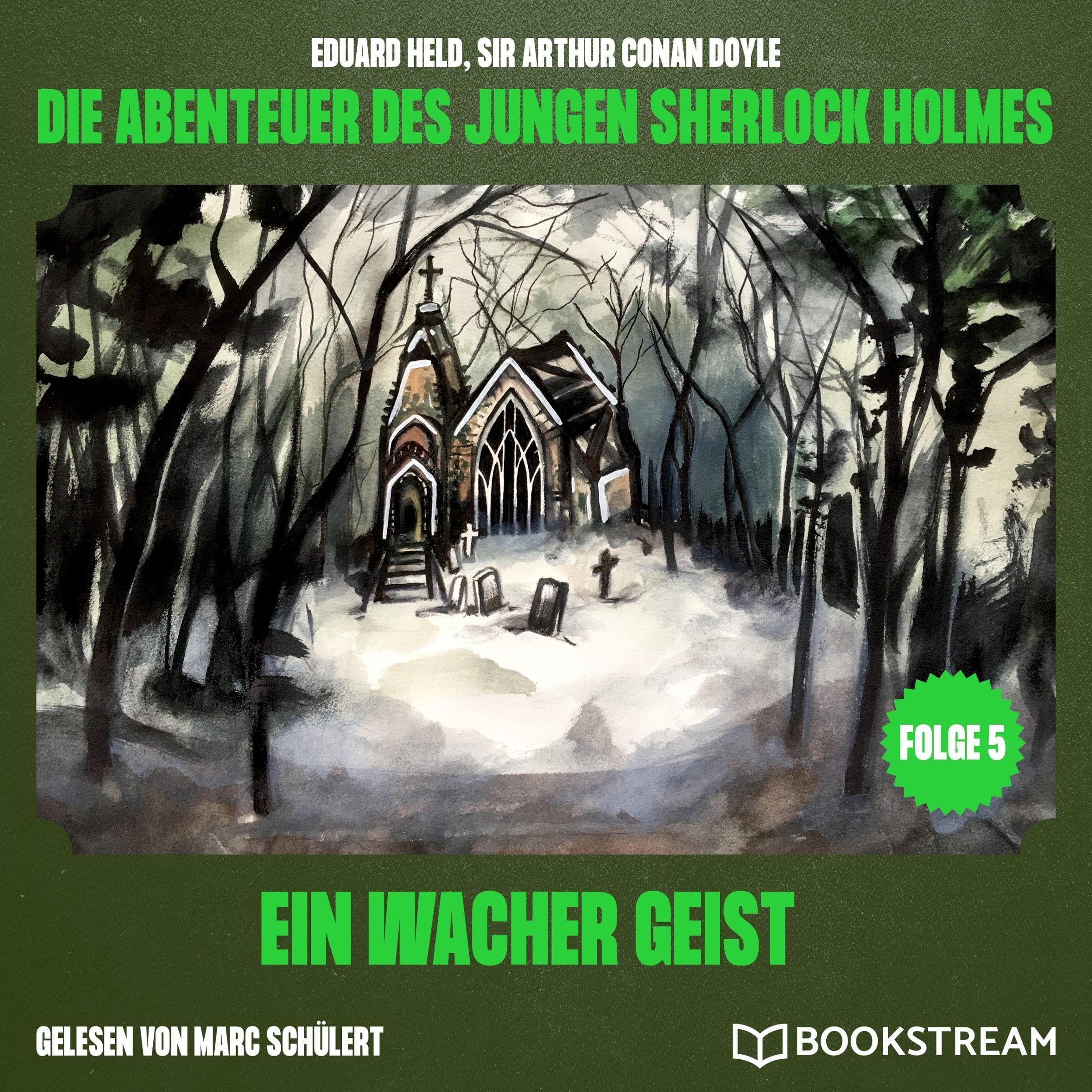 Cover art for Ein wacher Geist