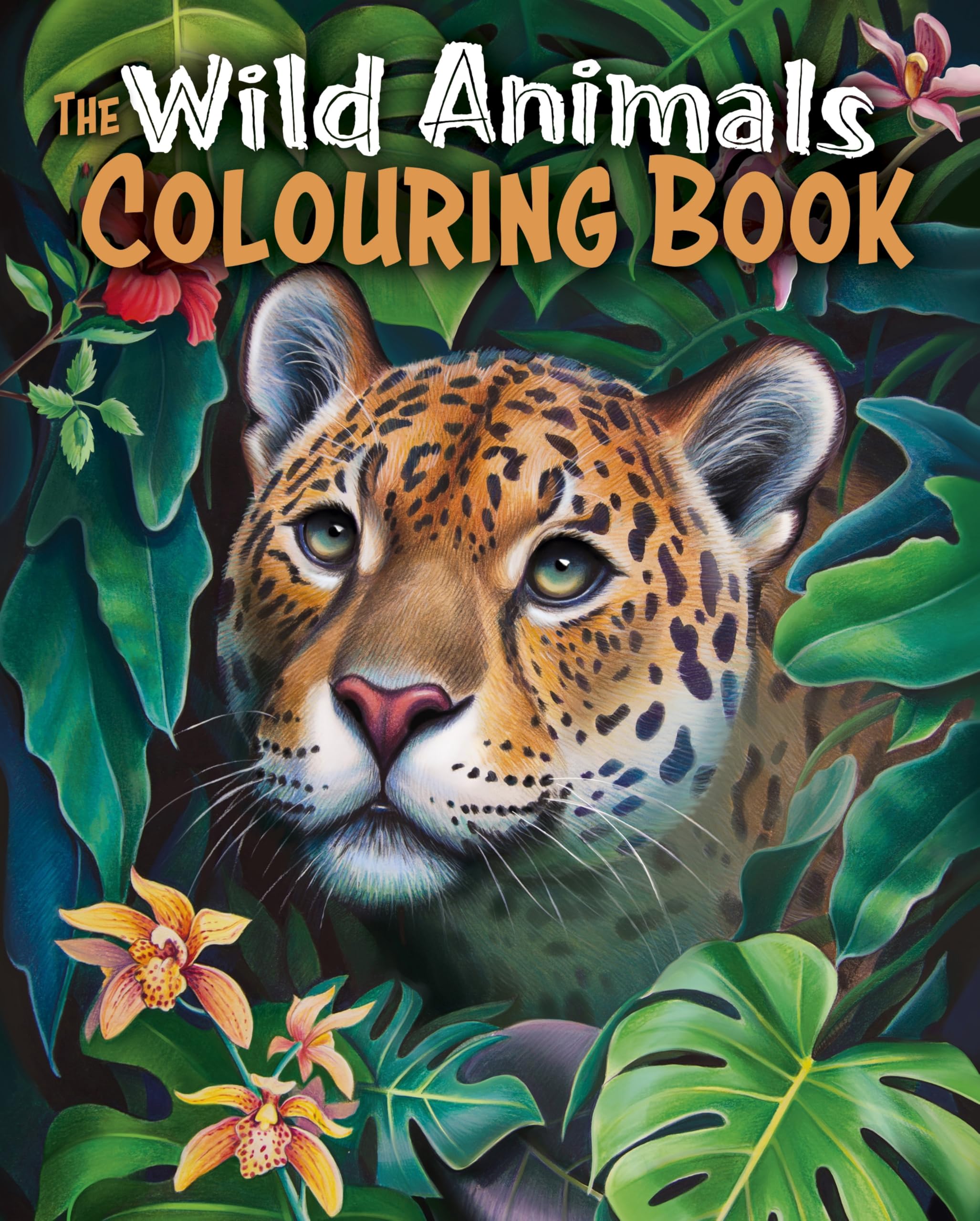 The Wild Animals Colouring Book: Over 45 Images to Colour (Arcturus Creative Colouring)