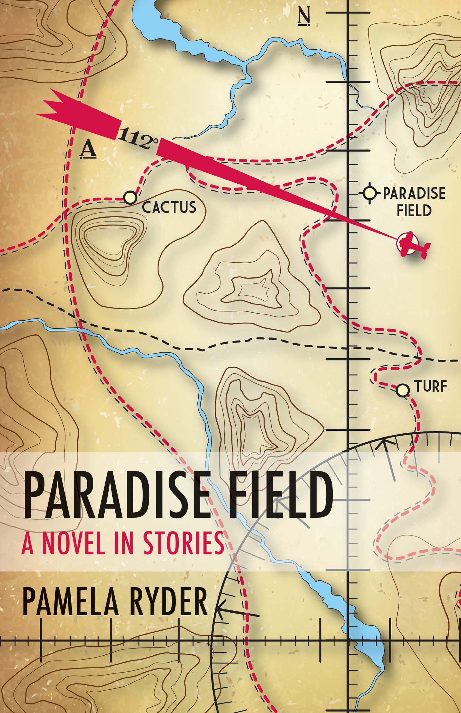 Paradise Field: A Novel in Stories (Fiction Collective Two)