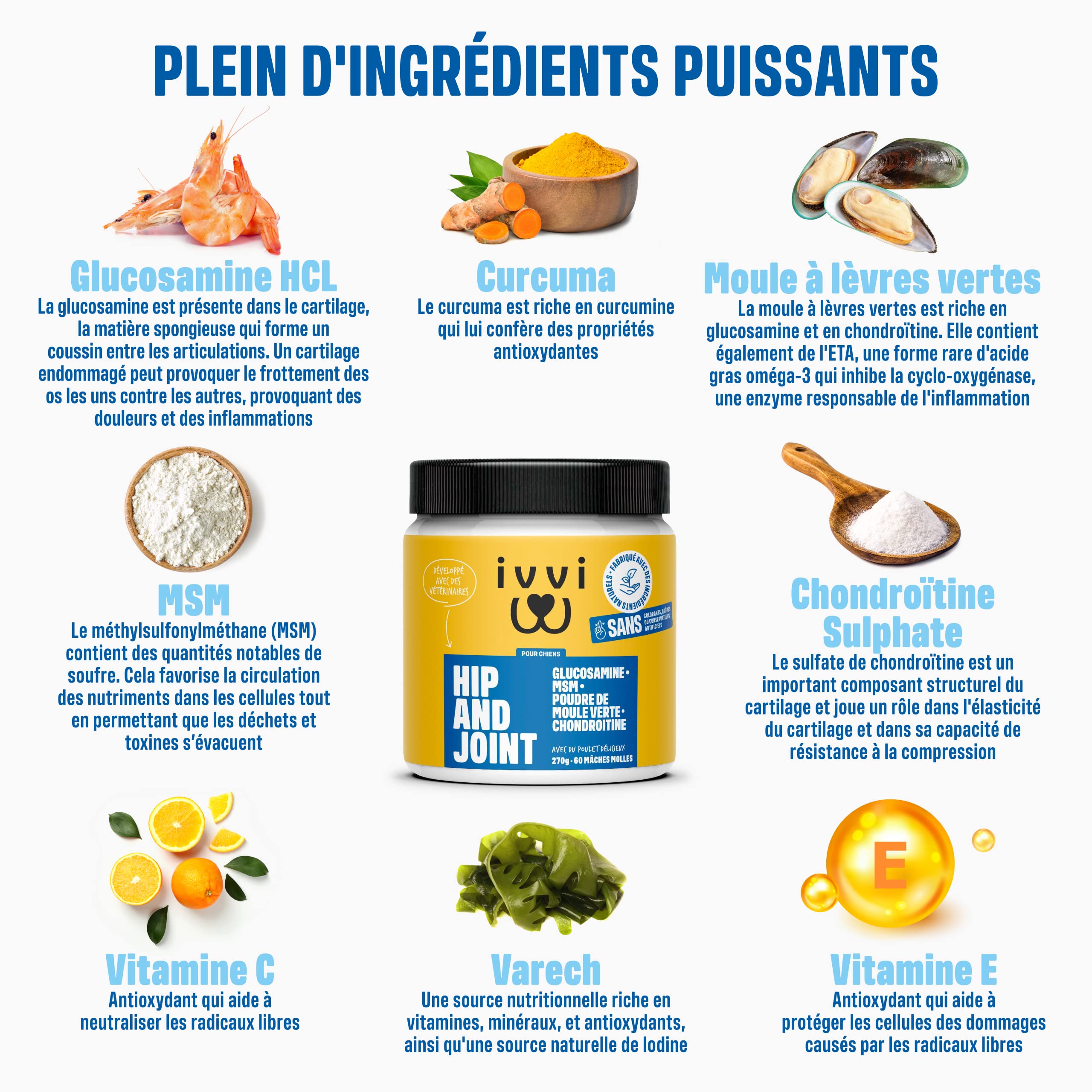 ivvi - Hip and Joint - Articulations, Anti-Arthrose - Complément Alimentaire pour Chien, Hautement Concentré - MSM, Moule à Lèvres Vertes, Glucosamine - 60 Friandises au Poulet, 270g