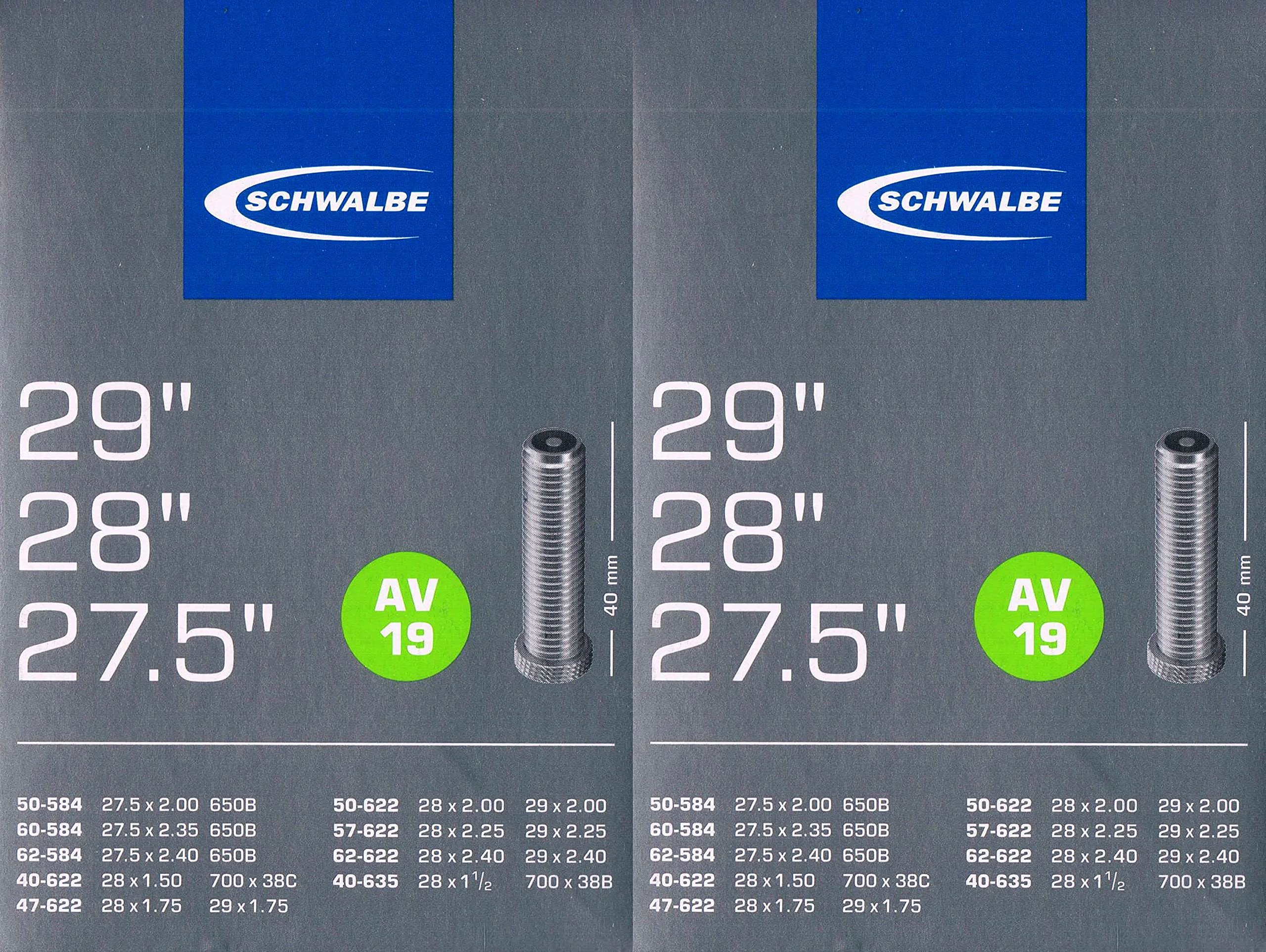 2X Schwalbe AV 19 Schlauch 29 622 Ventil: Auto Schrader AV19 29 Autoventil