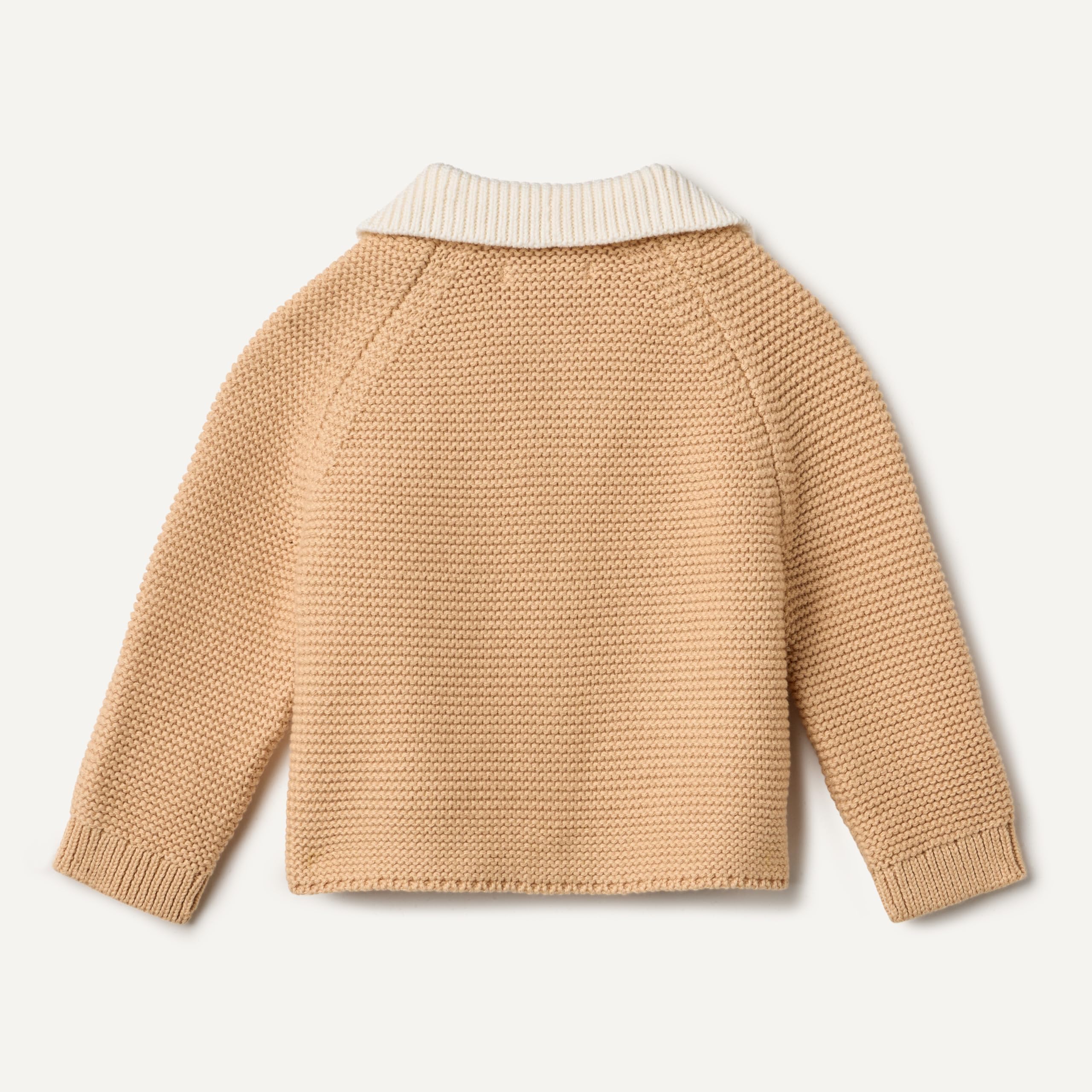 Amazon Essentials x Sofia Grainge Chaqueta de Punto con Cuello Peter Pan Unisex Bebé y Niños Pequeños
