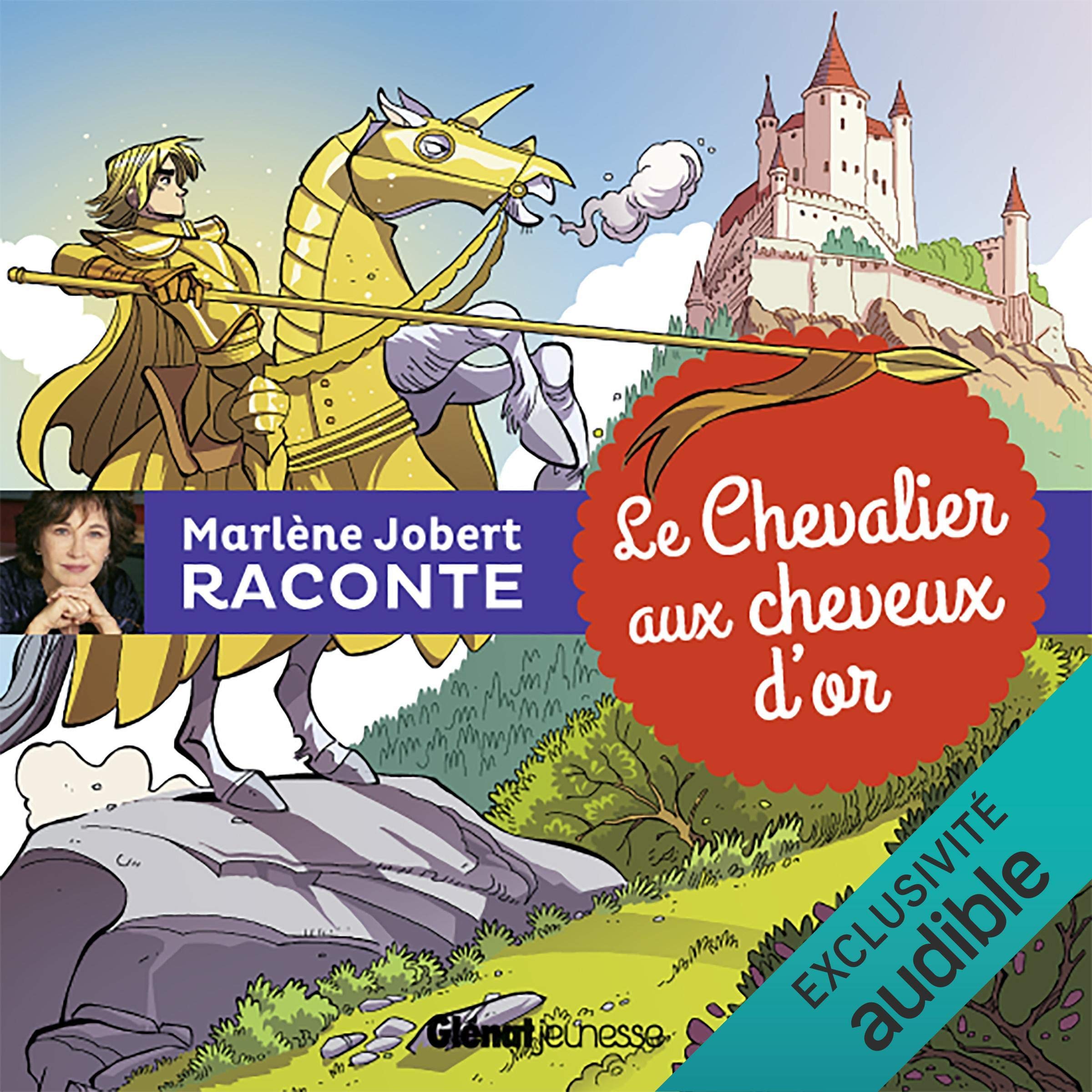 Cover art for Le Chevalier aux cheveux d'or