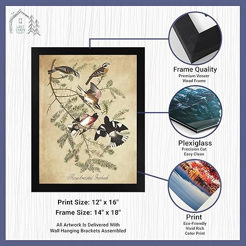 Vista 95 de Towee Bunting by James Audubon - Marco biselado negro de 12 x 16 pulgadas, decoración artística enmarcada para pared, reproducción de pinturas