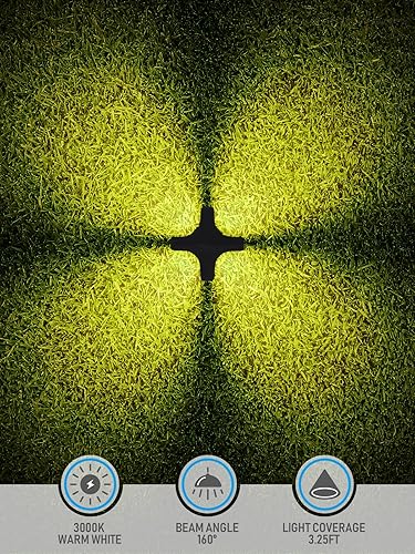 Miniatura 5 de LEONLITE Luces de paisaje de bajo voltaje, efectos de iluminación únicos, luces LED de camino, 172 lúmenes, 3 W, 12-15 V ACDC, IP65, luz de entrada