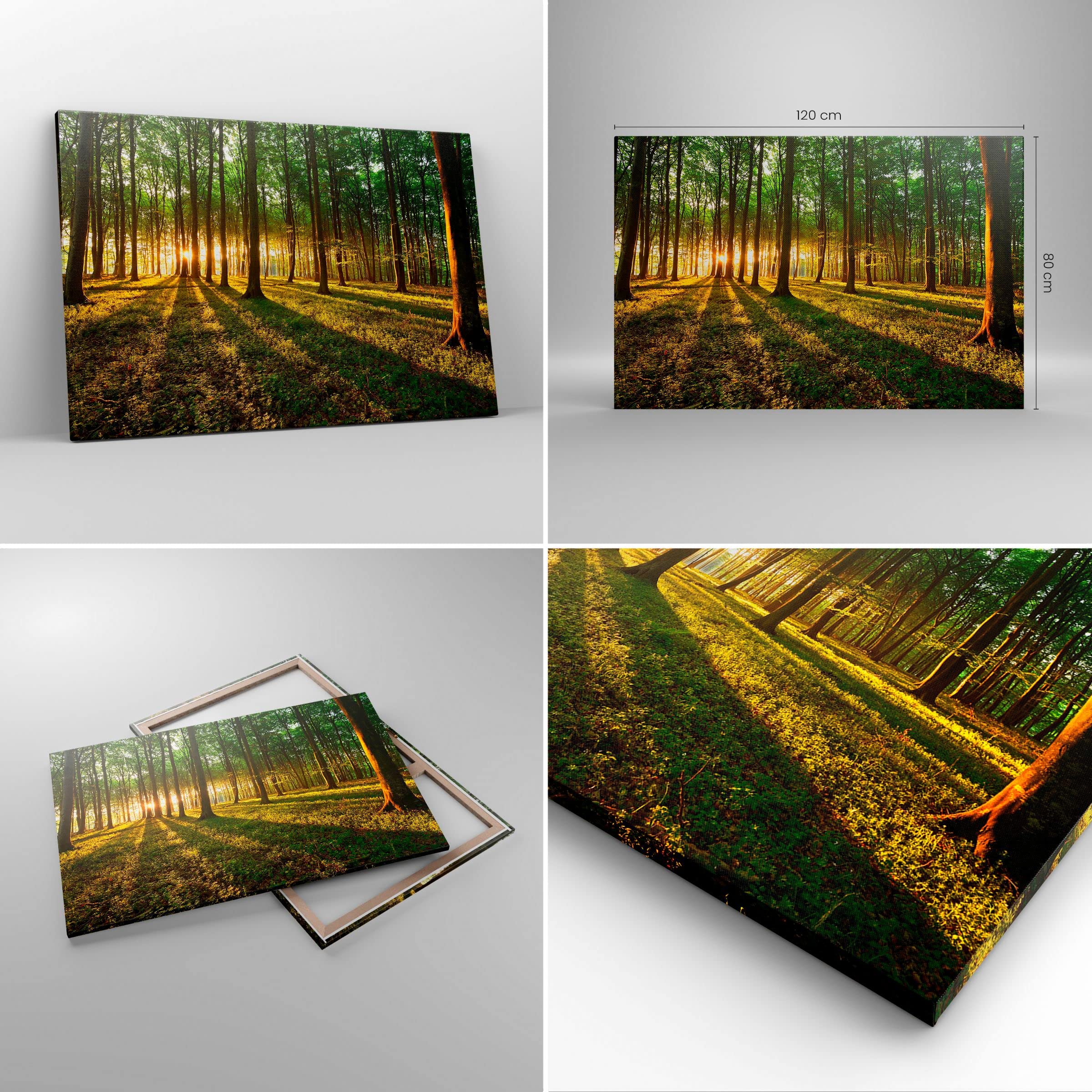 Cuadros Decoracion Salon Bosque verde sol rayos naturaleza Lienzos decorativos 120x80cm Cuadro Sobre Lienzo Moderno Dormitorio Cuadros Pared Imágenes Wall Art Prints Decor Grande XXL AA120x80-2510