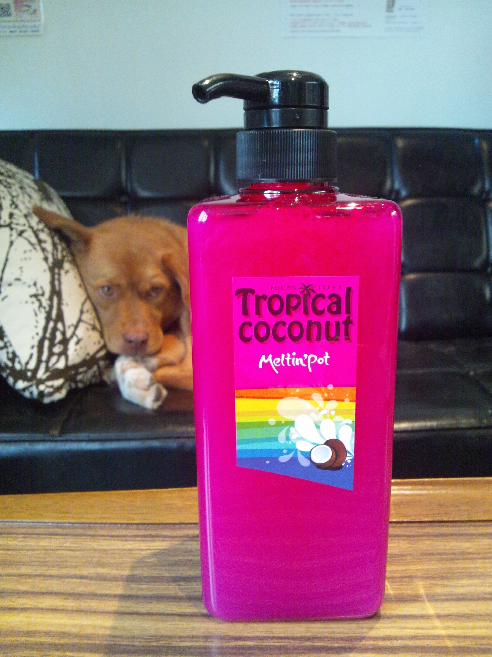 シャンプー cocot 91h9MqhXSPL.jpg