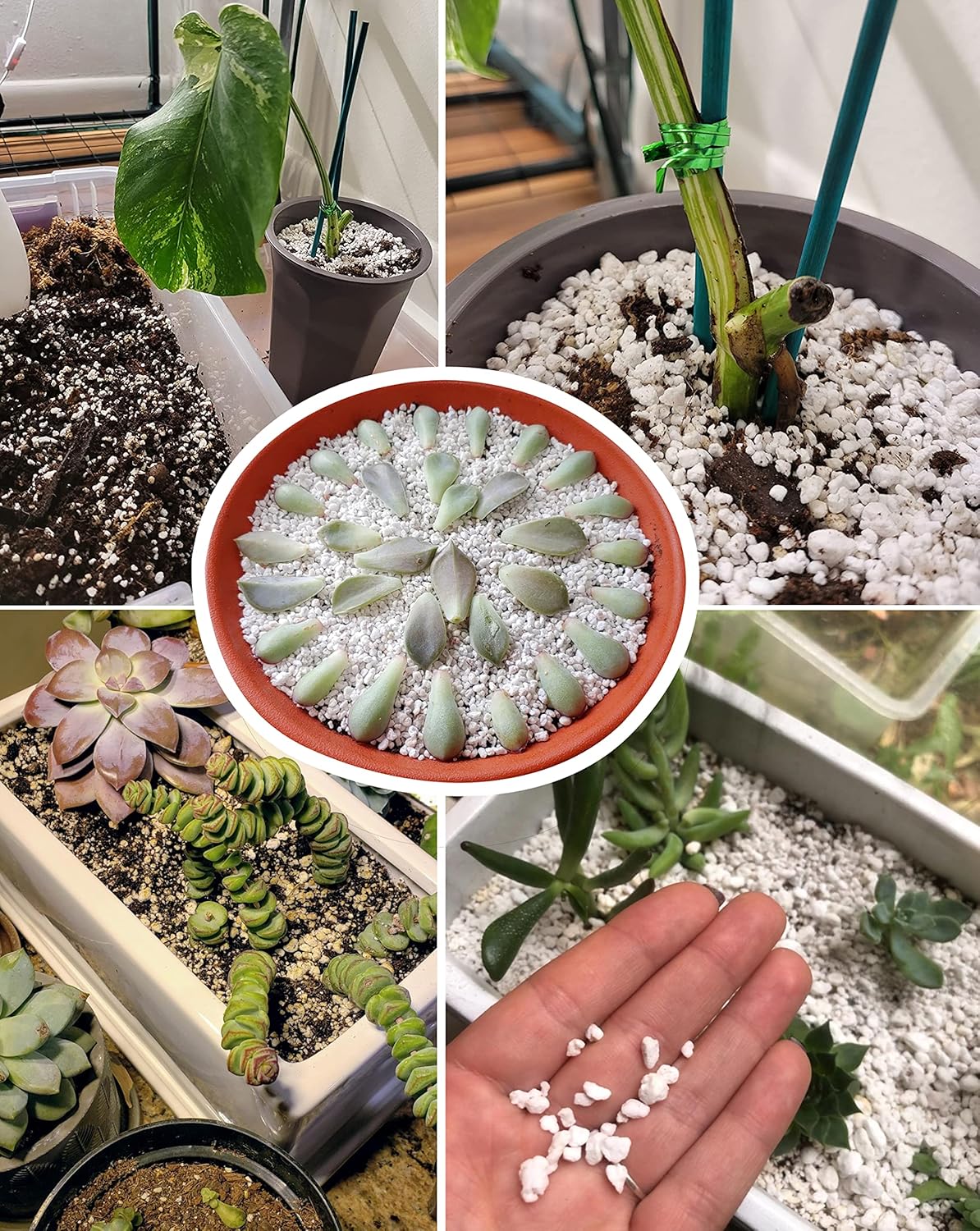 MDPQT 20 Qt Professional Grade Horticultural Perlite