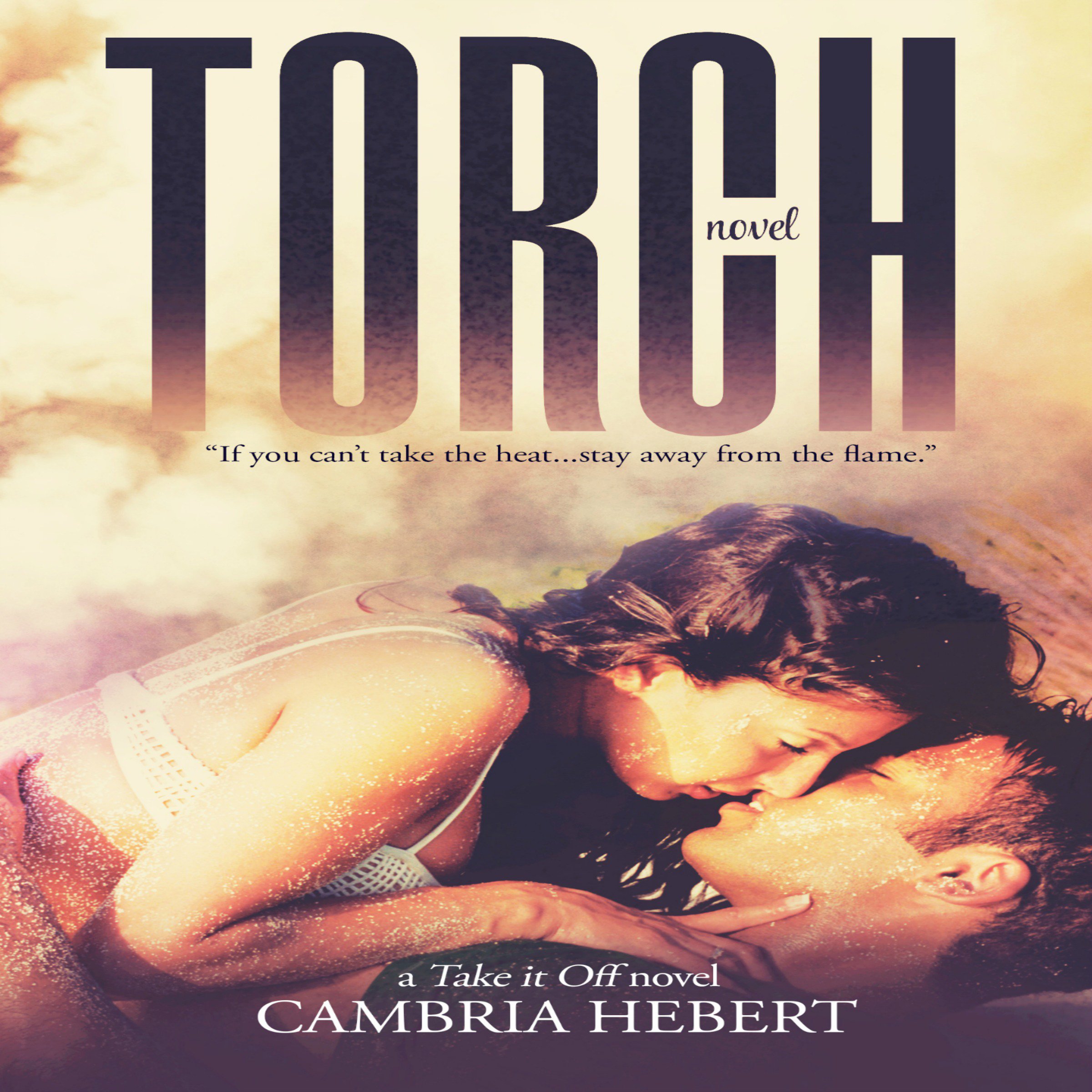 Cover art for Torch