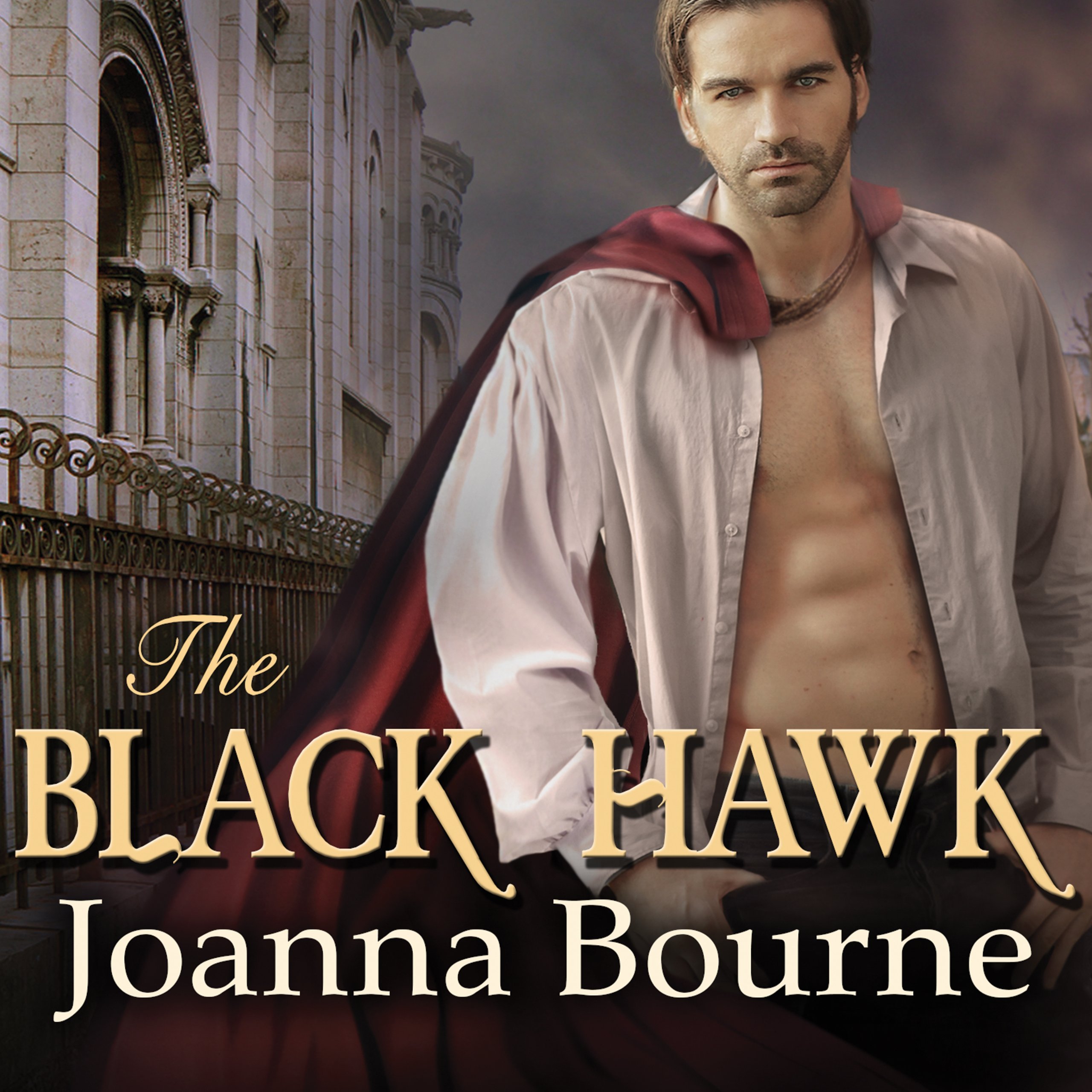 Cover art for The Black Hawk