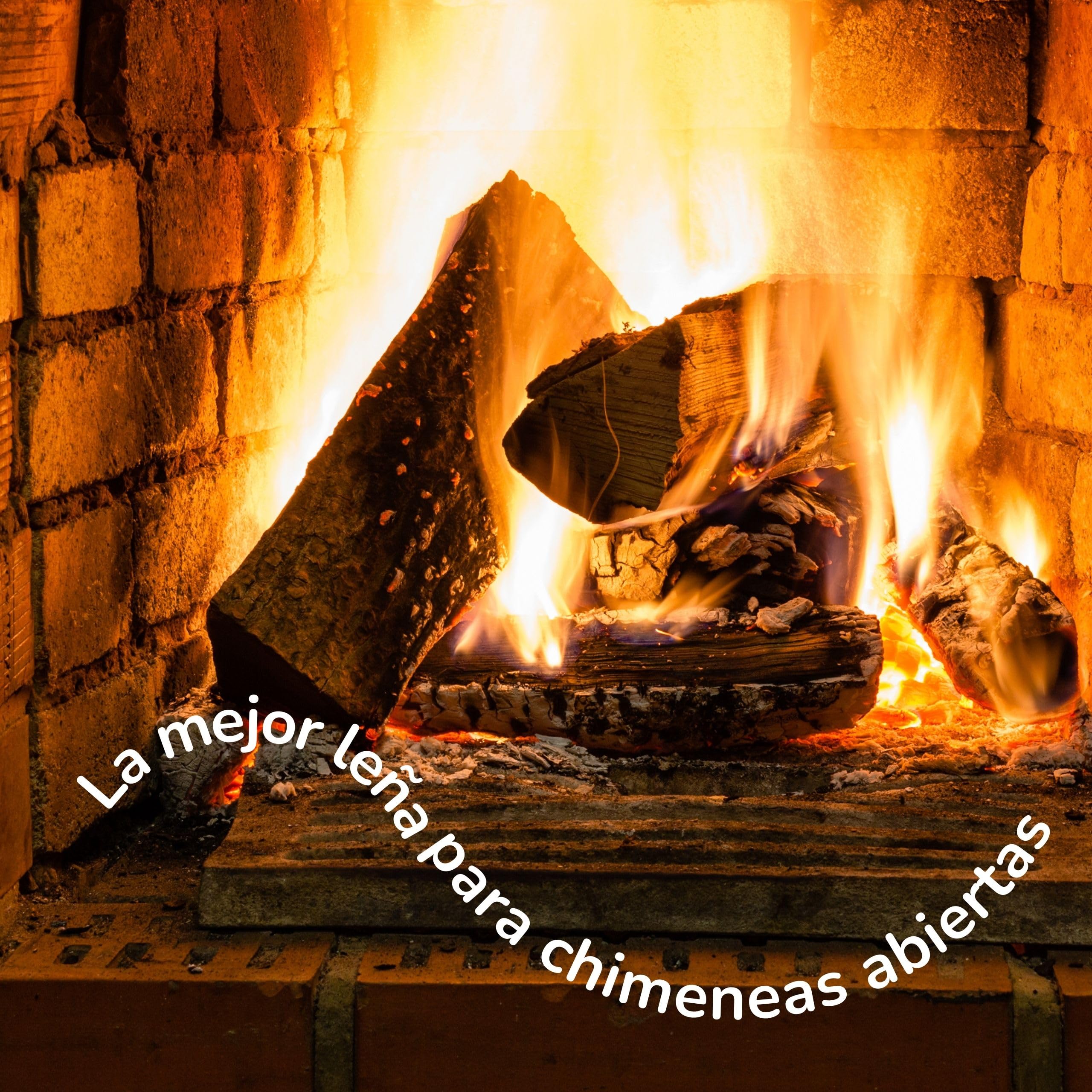Leña de Olivo 25kg – Leña para Chimenea, Estufa, Barbacoa, Horno – Troncos de Madera para Chimenea – Aroma Agradable para Hogar – Alto Poder Calorífico - Poda Controlada España (25 kg)