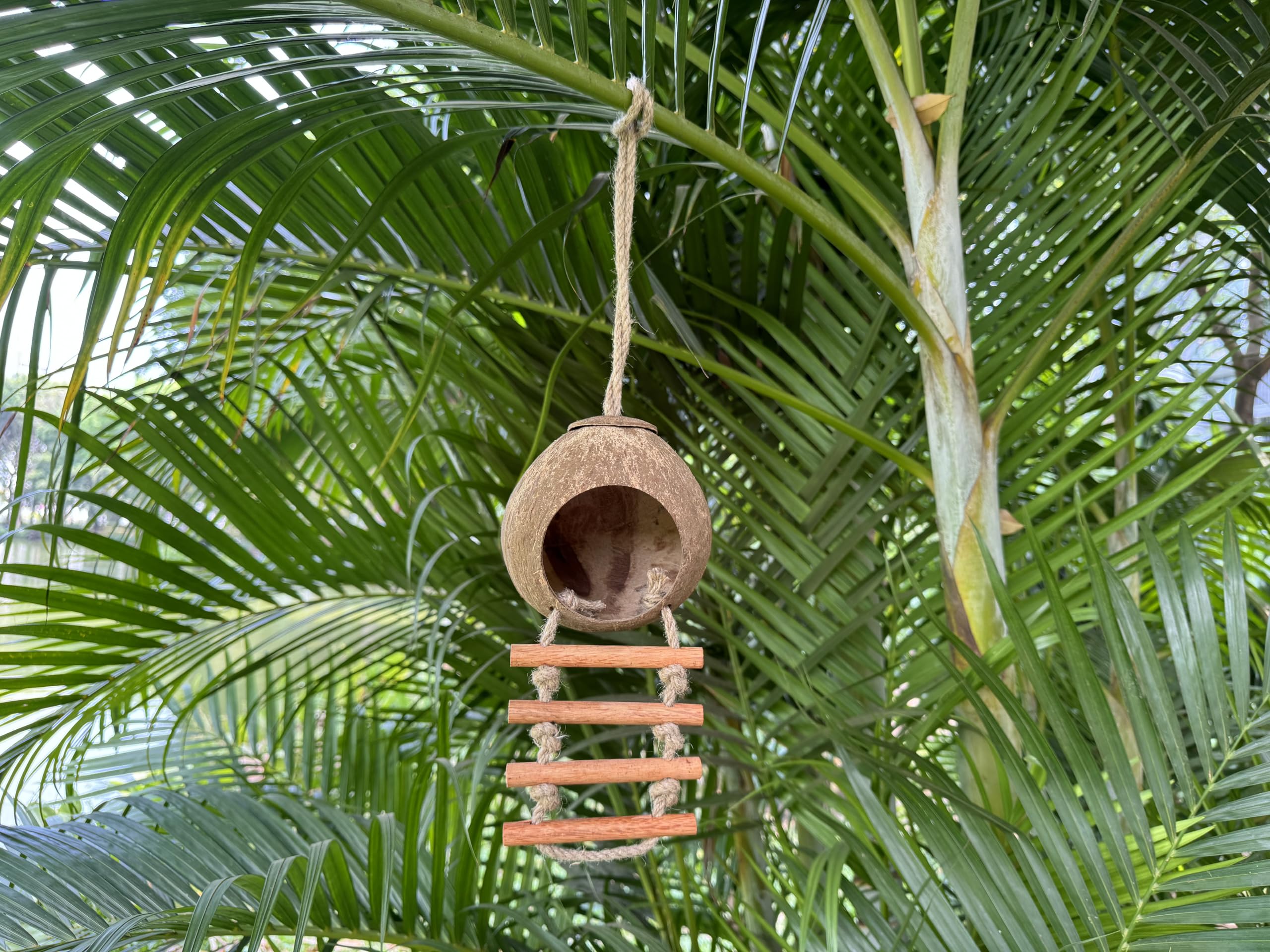 Casetta per uccelli realizzata a mano in cocco – Ciotola di cocco riciclata, mangiatoia per uccelli in stile scala, resistente alle intemperie per piccoli uccelli, rettili, amanti del giardino