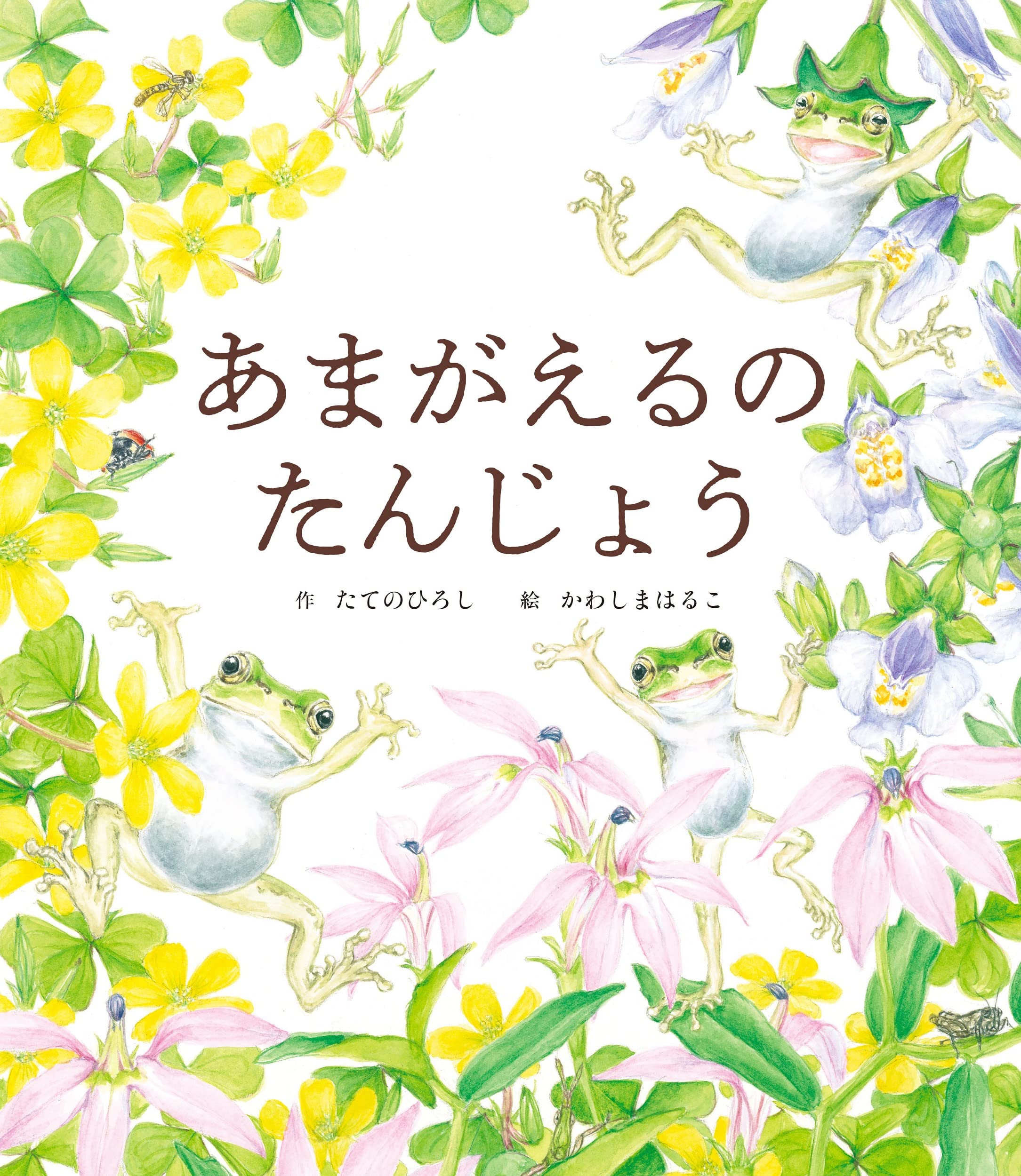 Amazon.co.jp: あまがえるのたんじょう : たての ひろし, かわしま