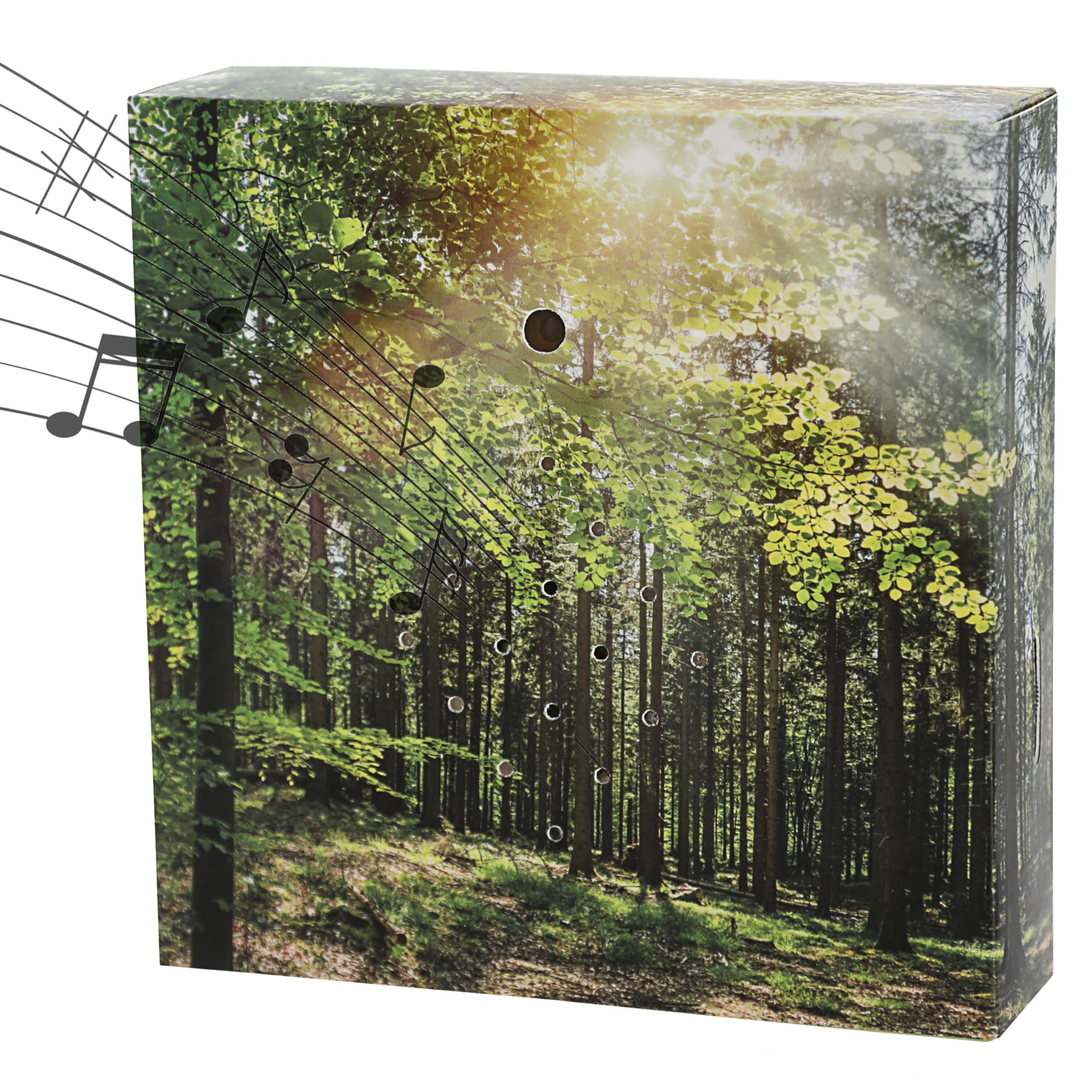 Soundbox 'Forest' Motion Sensor, 1 X Sound Box "Forest" - Image 4