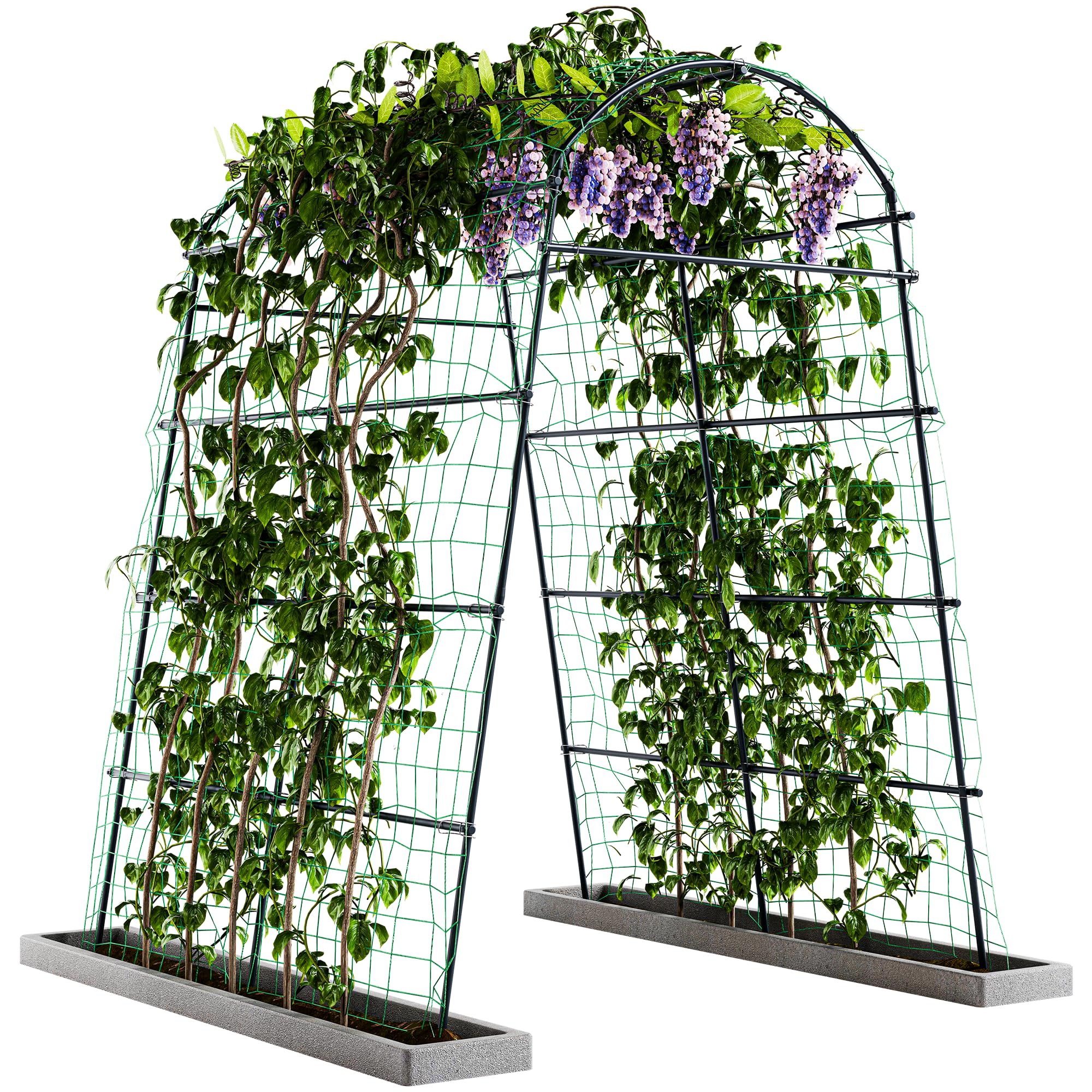 Plastic Arch Trellis Tunnel 71x65x88in
