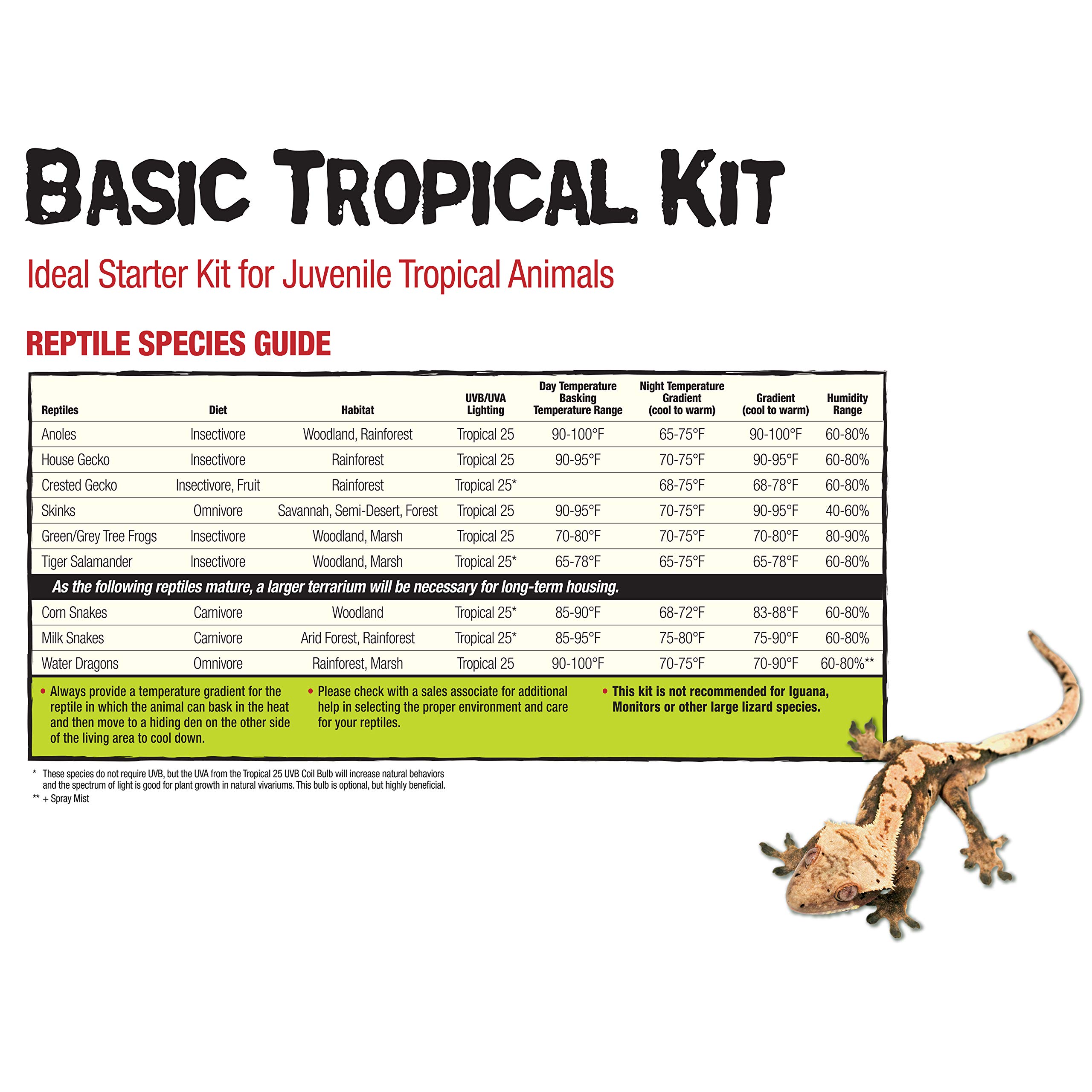 starter kits for lizards