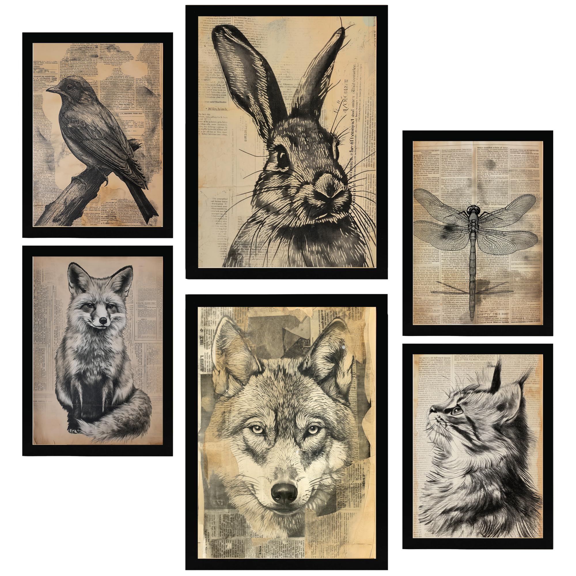 Nacnic Set of 6 Vintage Animals. Bird, Rabbit, Dragonfly, Fox, Wolf, Cat Framed prints with design illustration to decorate walls of home. Room, office, shop, business. A3 and A4 size Black Frame