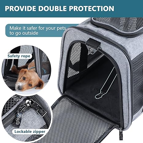 dog travel case