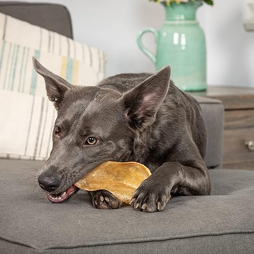 Miniatura 3 de Water Buffalo Prime Dog Bone Surtido de huesos para perros, huesos y golosinas naturales para perros, paquete de 11 (masticables de larga duración