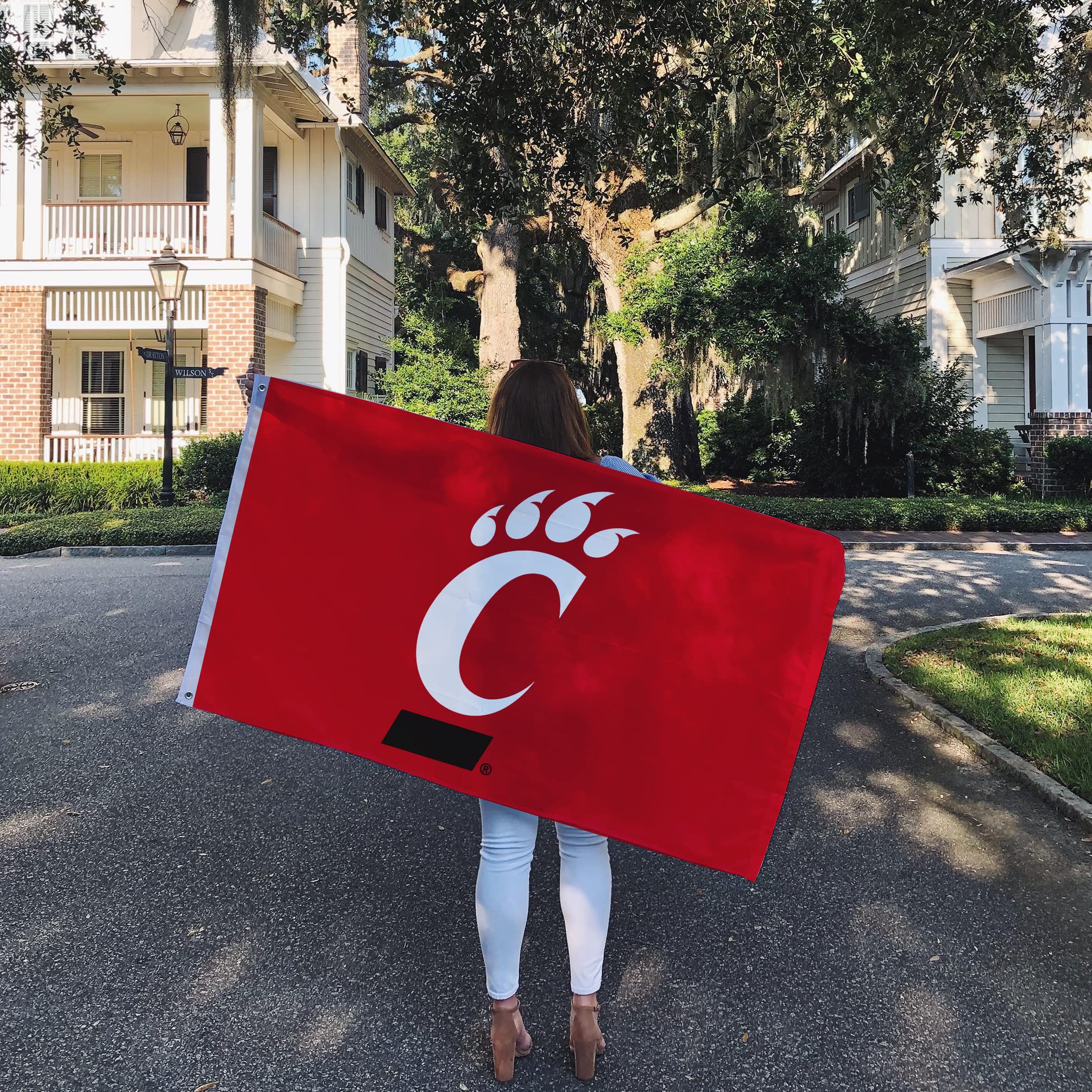 Desert Cactus University Of Cincinnati Bearcats Flag - Officially Licensed 3x5 Ft Polyester Indoor/Outdoor Flag