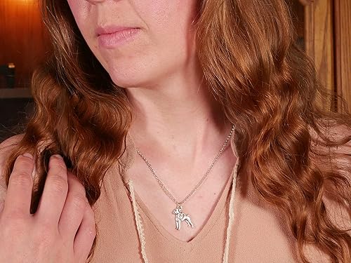 Miniatura 63 de Collar de raza de perro Grupo A