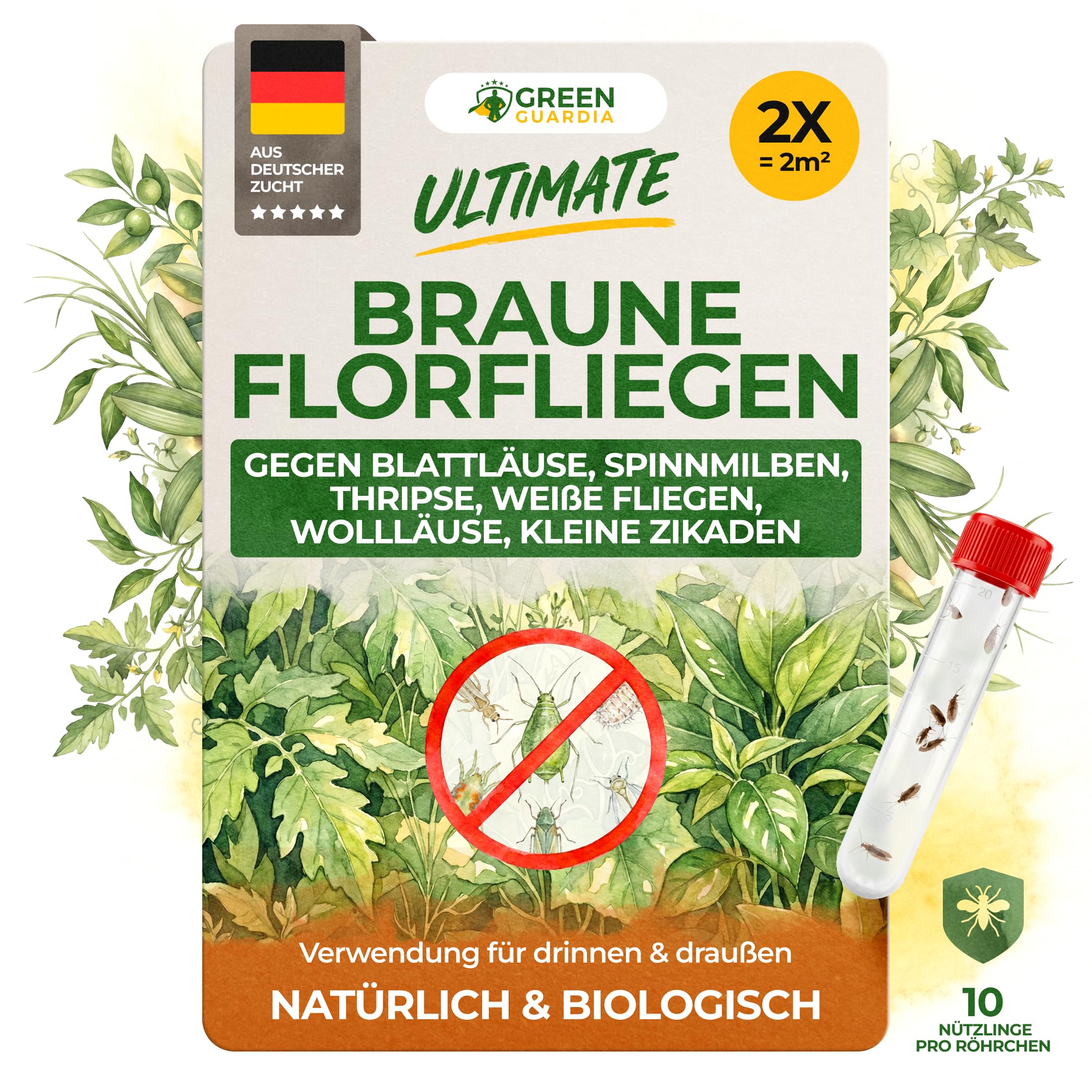 GREEN GUARDIA Braune Florfliegen (Micromus angulatus) 2X Röhrchen für ca. 4m² - Nützlinge gegen Blattläuse, Spinnmilben, Thripse & Weiße Fliegen