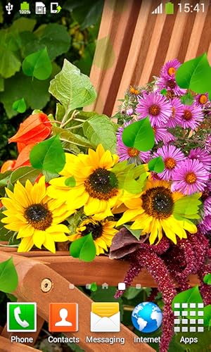 Sunflower Live Wallpapers