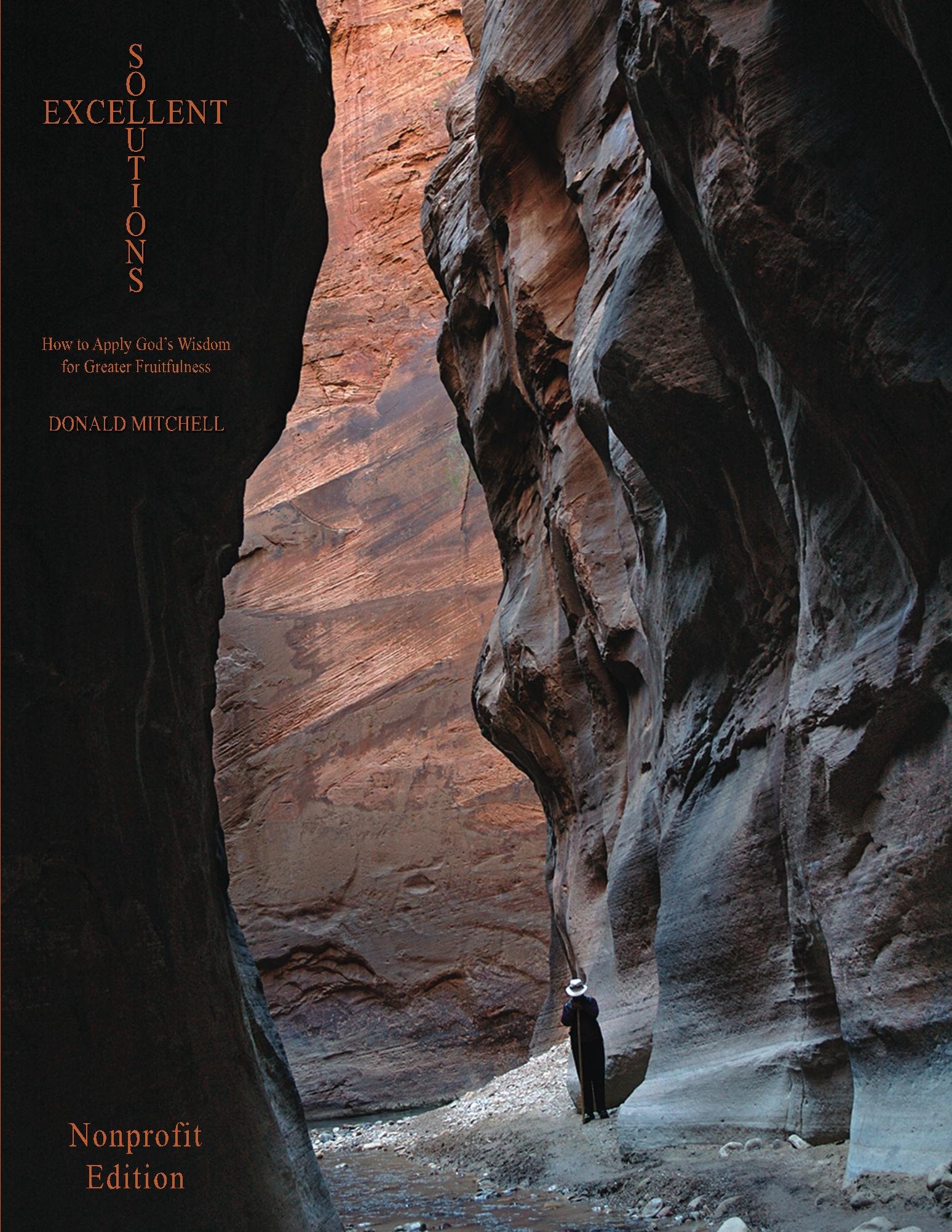 Excellent Solutions: Nonprofit Edition; How to Apply God's Wisdom for Greater Fruitfulness