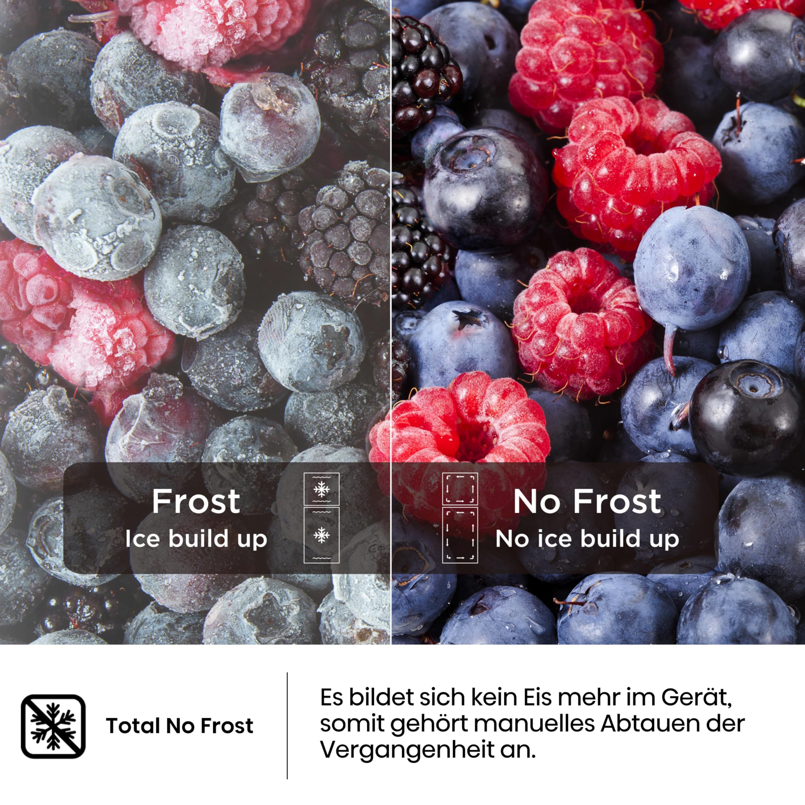 Hisense FV245N4AW2 Gefrierschrank TotalNoFrost SuperFreeze 194 l 41 dB 219 kWh Inox-Look Weiß