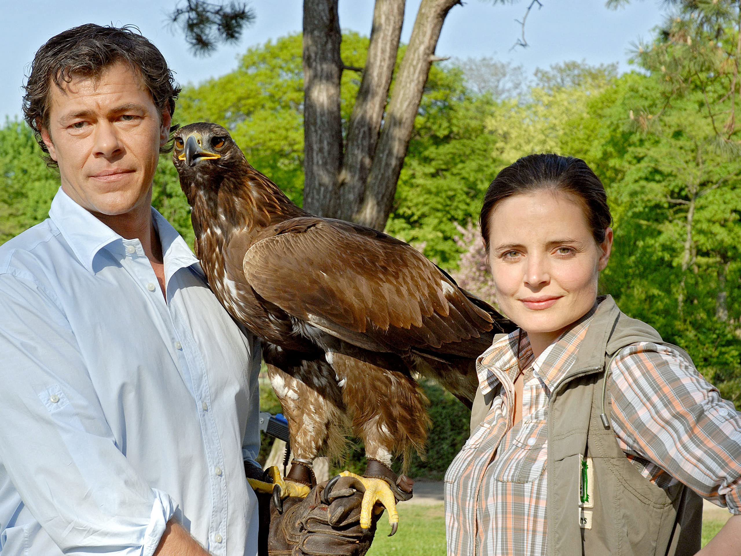 Amazon.de Tierärztin Dr. Mertens Staffel 1 (Folge 113) ansehen Prime Video Amazon.de Tierärztin Dr. Mertens Staffel 1 (Folge 113) ansehen Prime Video