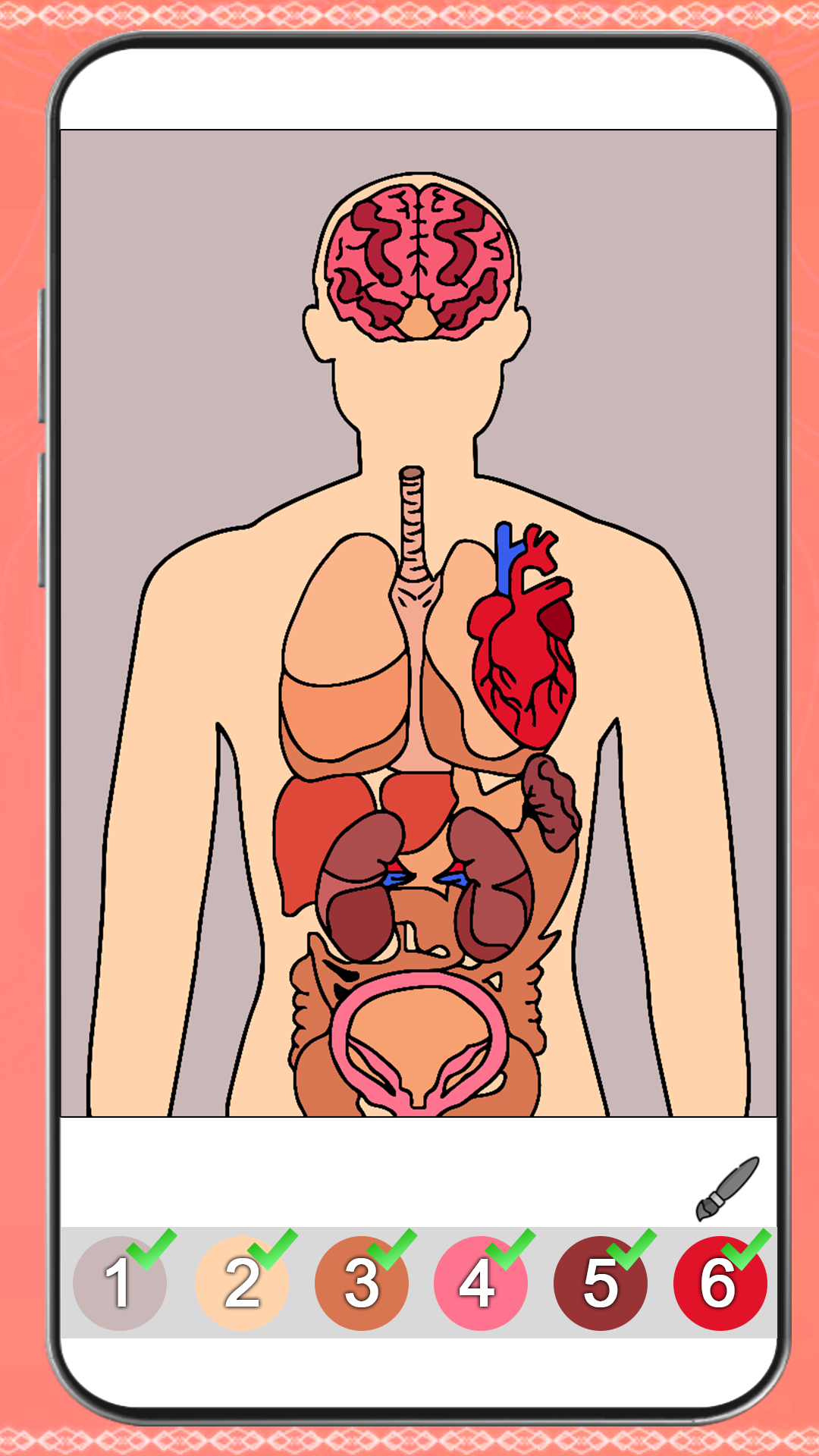 Human Body Color By Number Art - Anatomy Coloring Book - App on Amazon ...