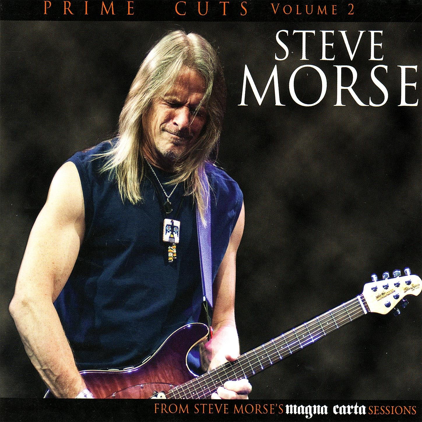 The Steve Morse Band