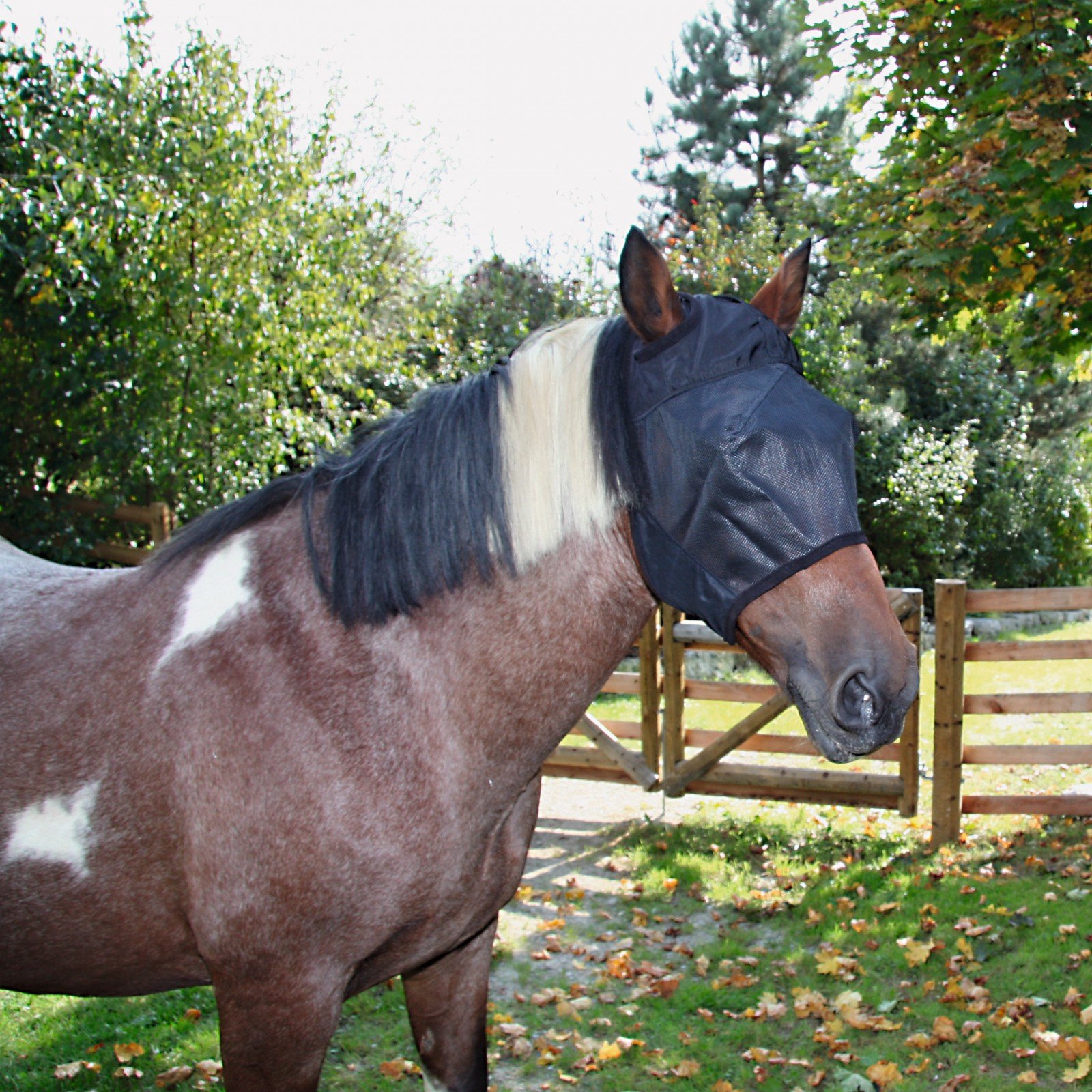 Kerbl 321352 Fly Mask for Warm-Blooded Horses with Ear Openings/Without Nose Bridge Cover