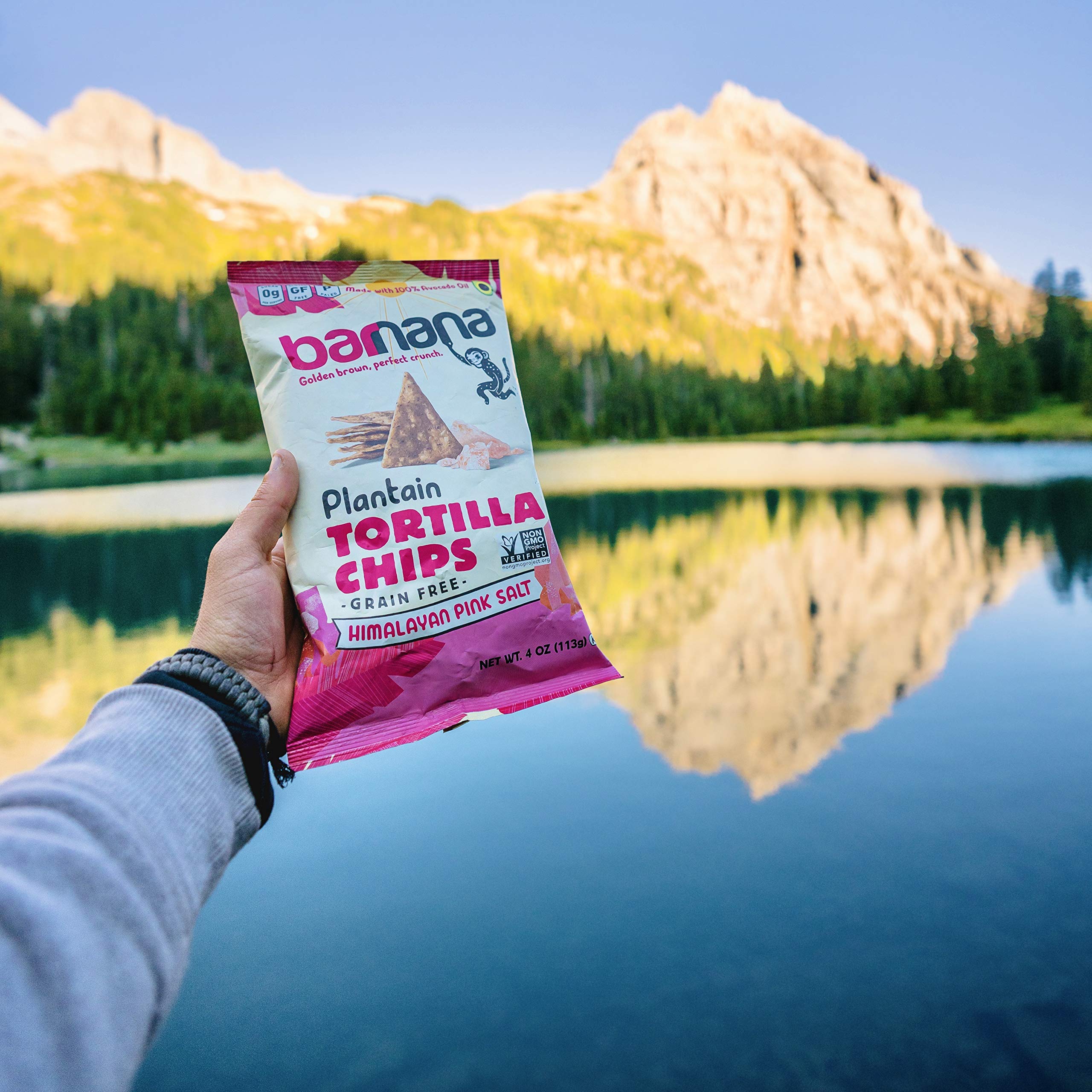 EXP 5/22  Grain-Free Plantain Tortilla Chips – Himalayan Pink Salt – 4 Ounce, 1 Pack – Gluten-Free, Corn-Free, Paleo – Golden Brown, Perfect Crunchy Snack - Made With 100% Avocado Oil