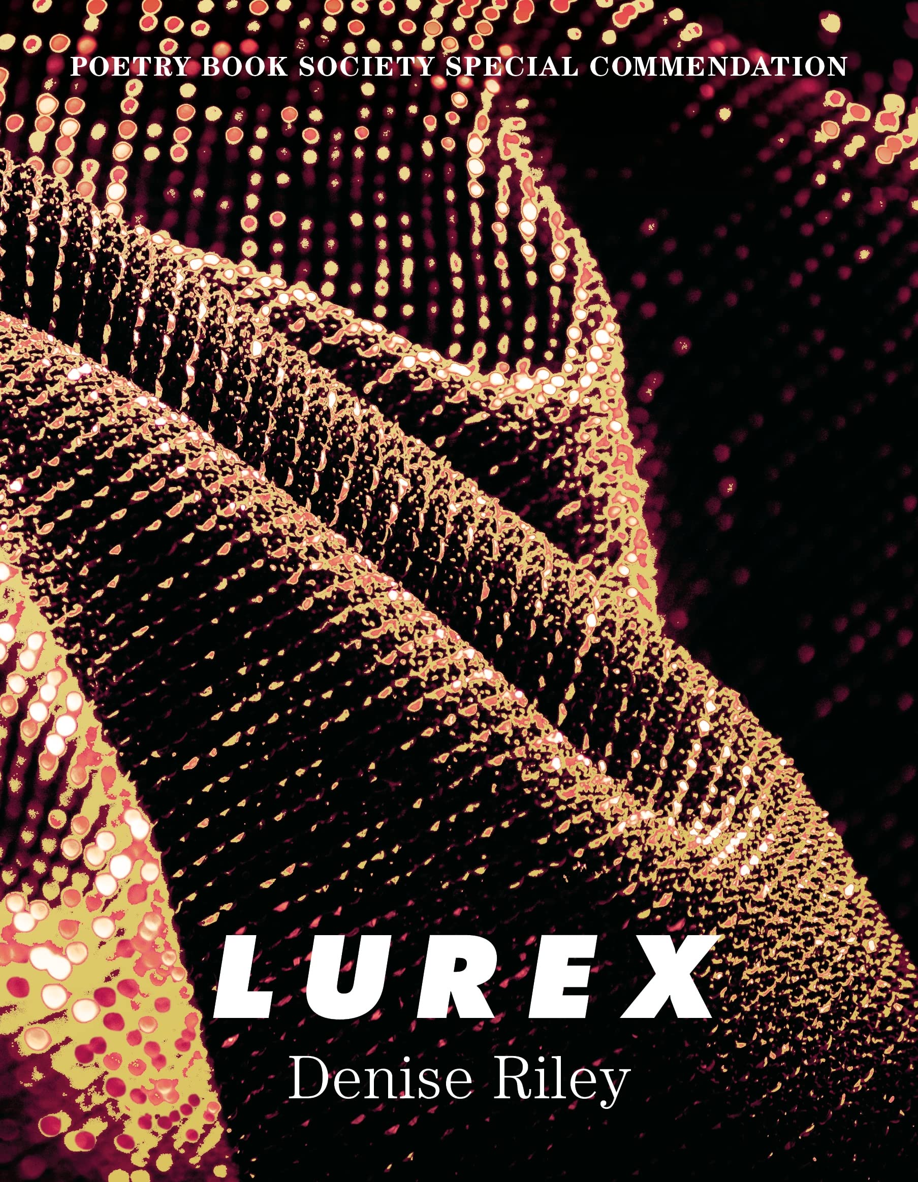 Lurex by Denise Riley (Paperback Book)